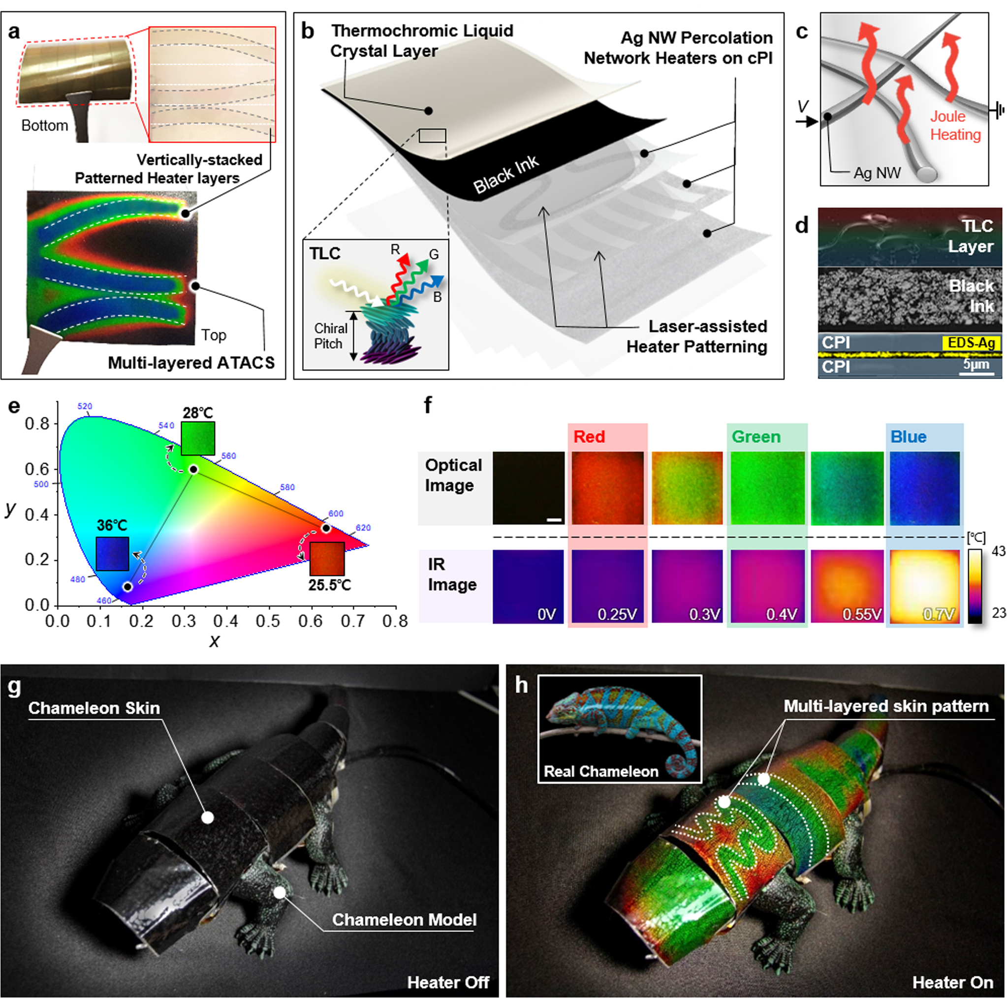 Biomimetic chameleon soft robot with artificial crypsis and disruptive  coloration skin | Nature Communications
