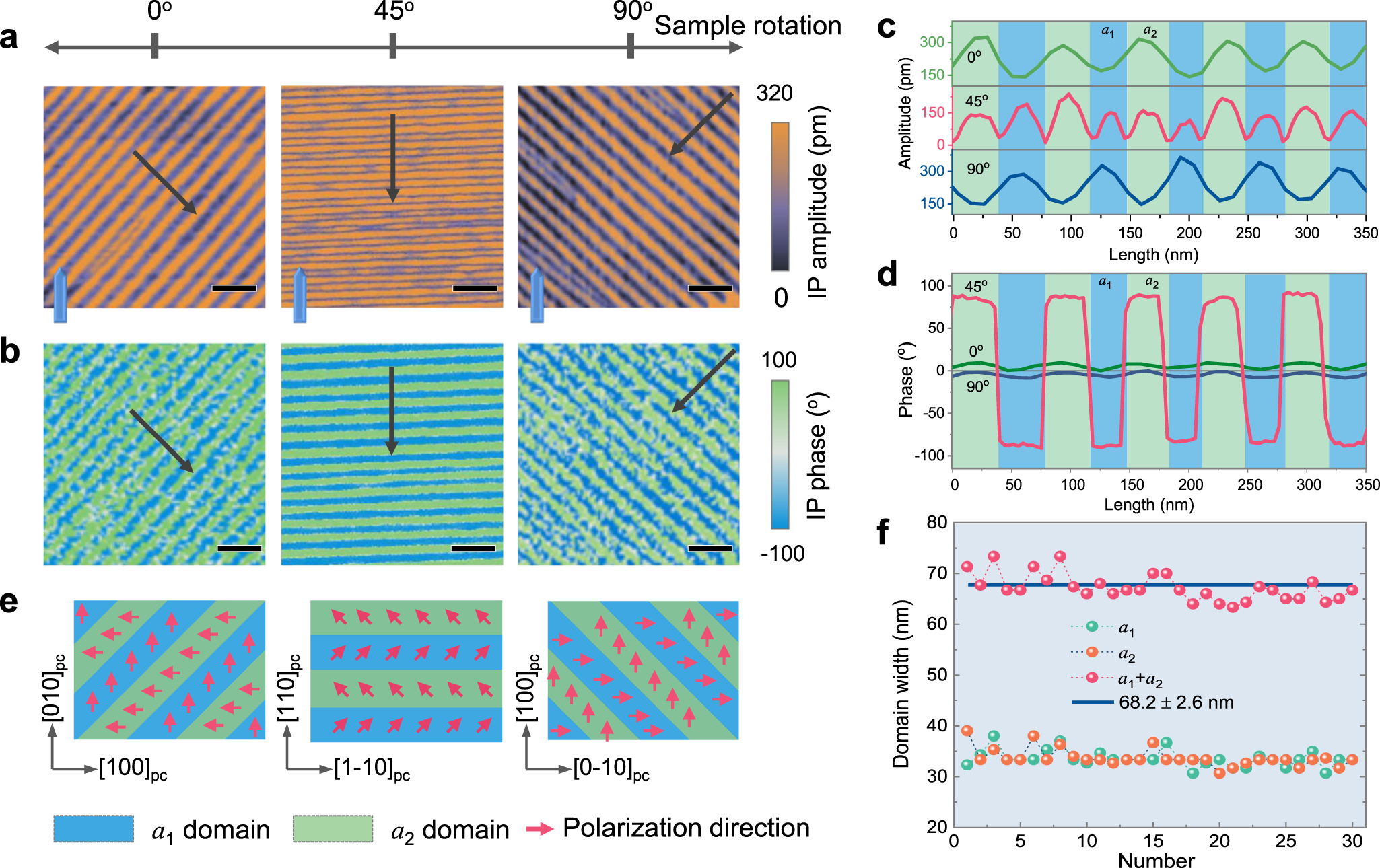 Engineering polar vortex from topologically trivial domain architecture |  Nature Communications