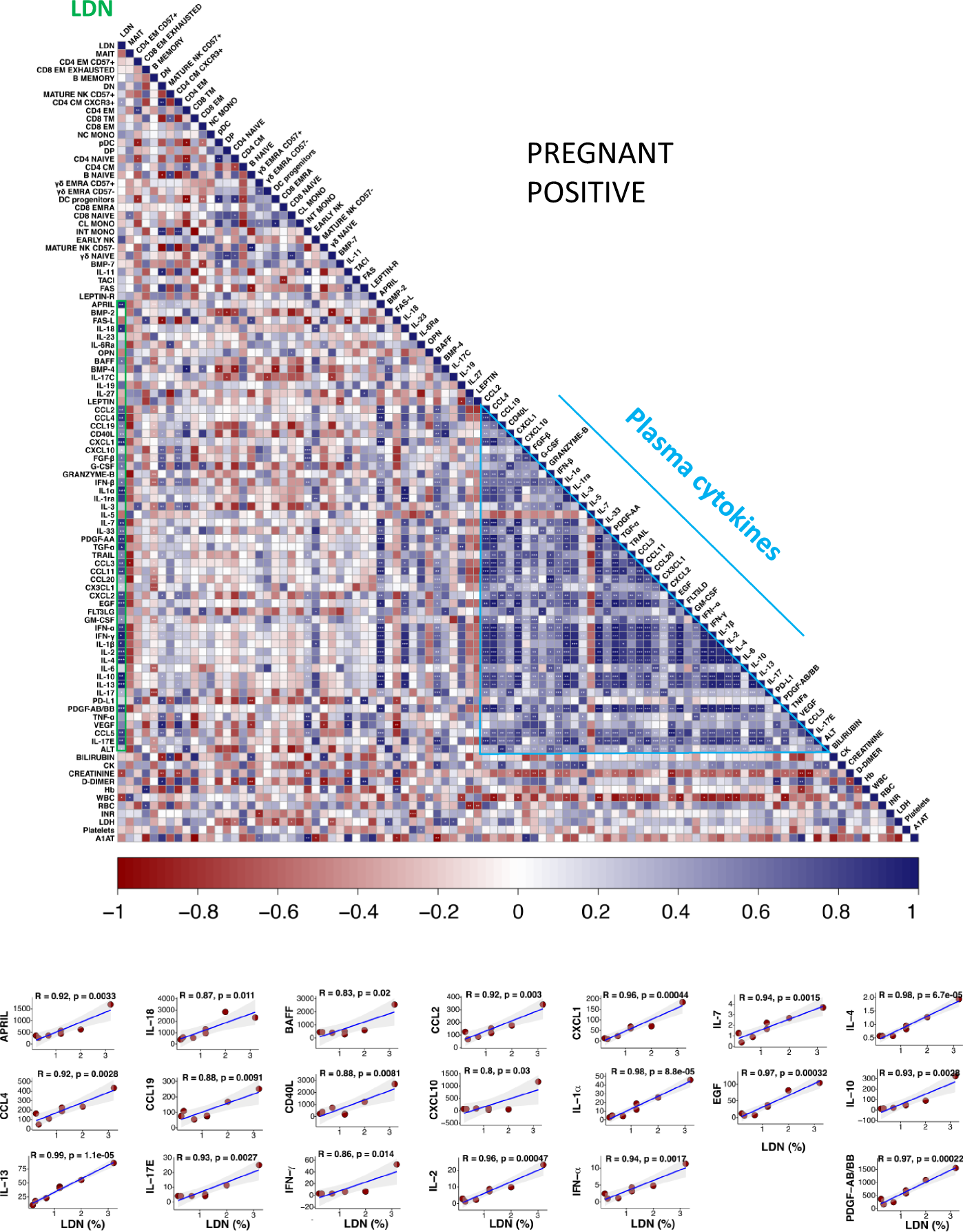 Fig. 9: Correlogram showing the role of LDN in infected women, and the correlations among plasma cytokines.