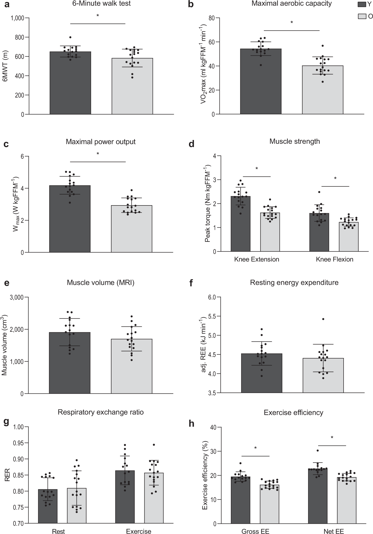 Skibform salat kubiske Impact of aging and exercise on skeletal muscle mitochondrial capacity,  energy metabolism, and physical function | Nature Communications