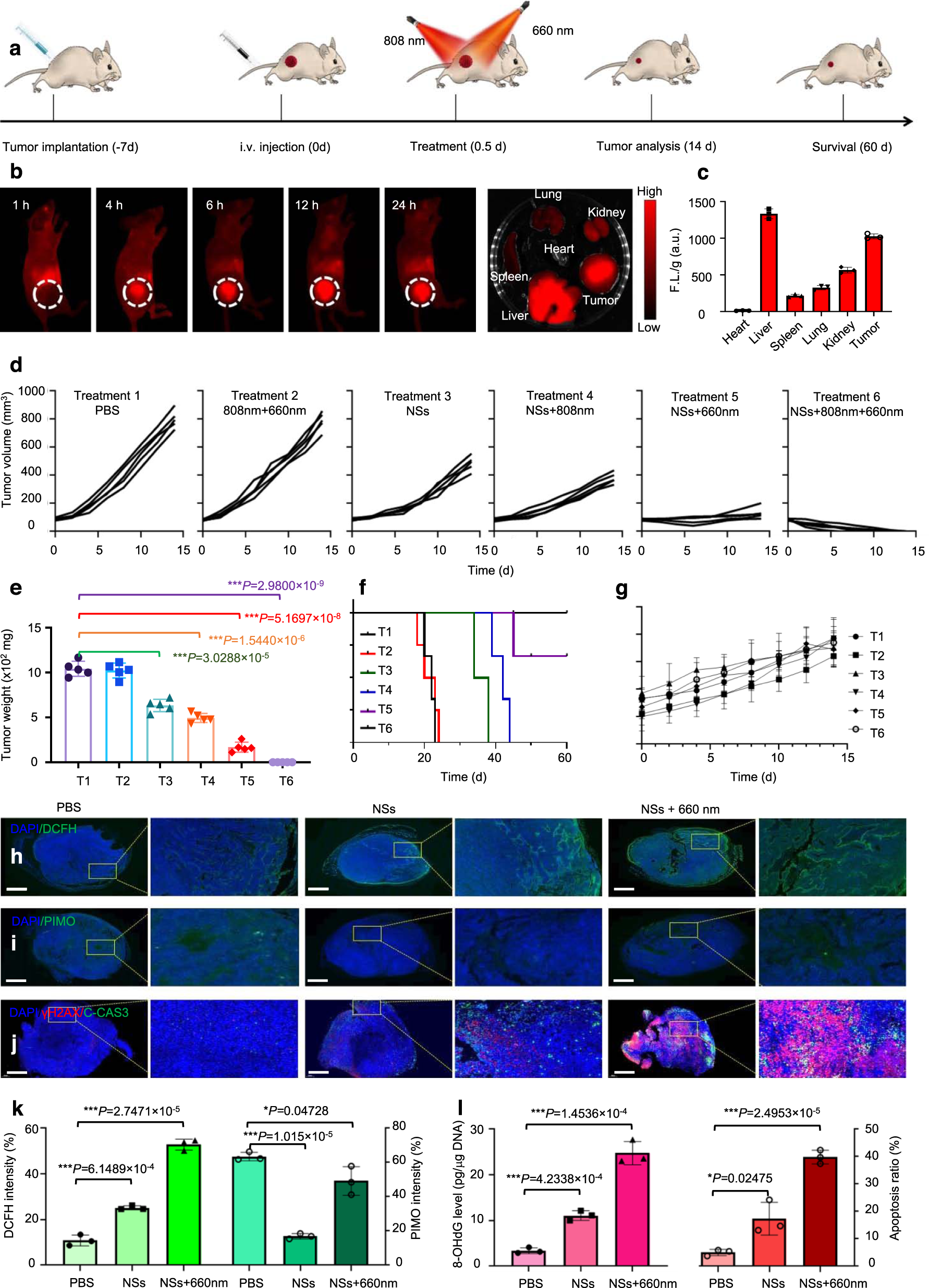 Fig. 9: In vivo imaging and anti-tumor performance of As/AsxOy@PDA@M NSs.