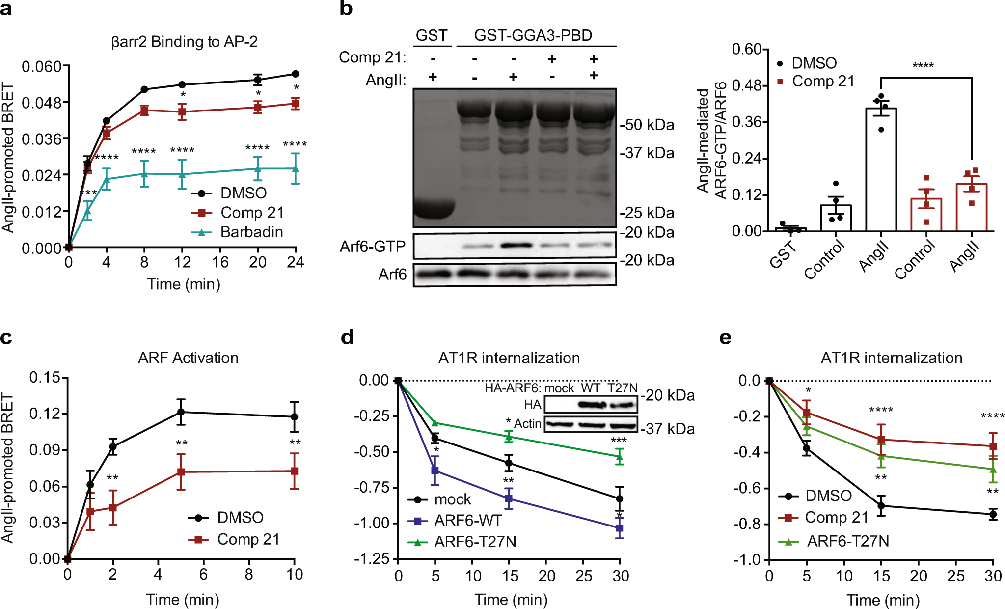 Fig. 2: Compound 21 targets ARF6 to inhibit GPCR internalization.