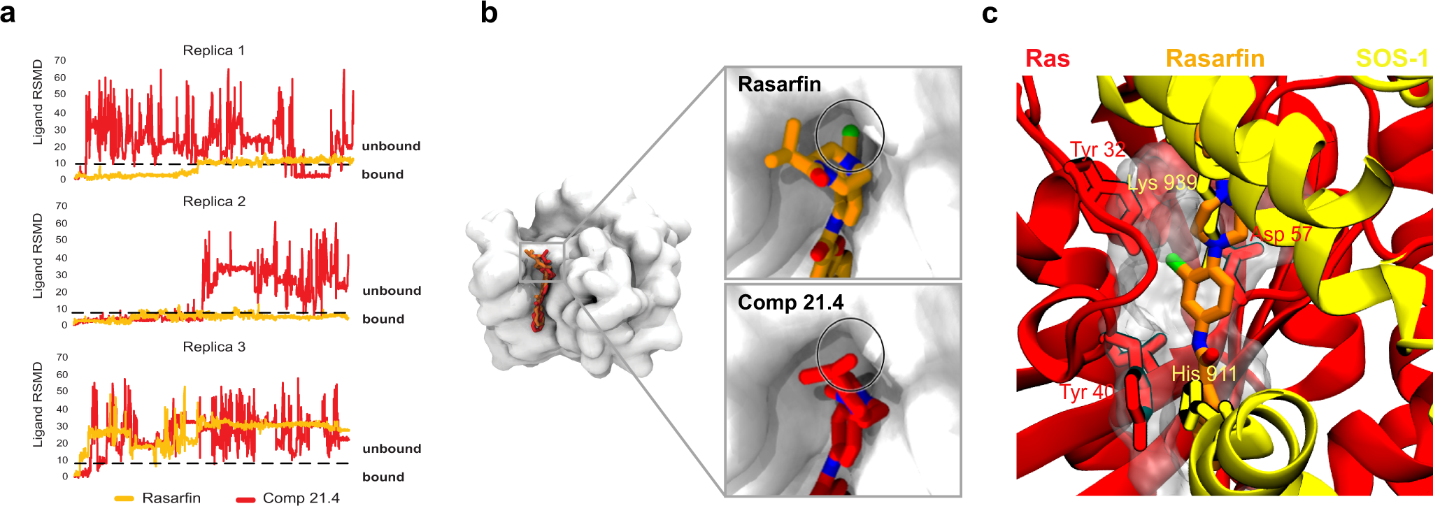 Fig. 6: Estimation of the stability of Rasarfin and compound 21.4 binding modes.