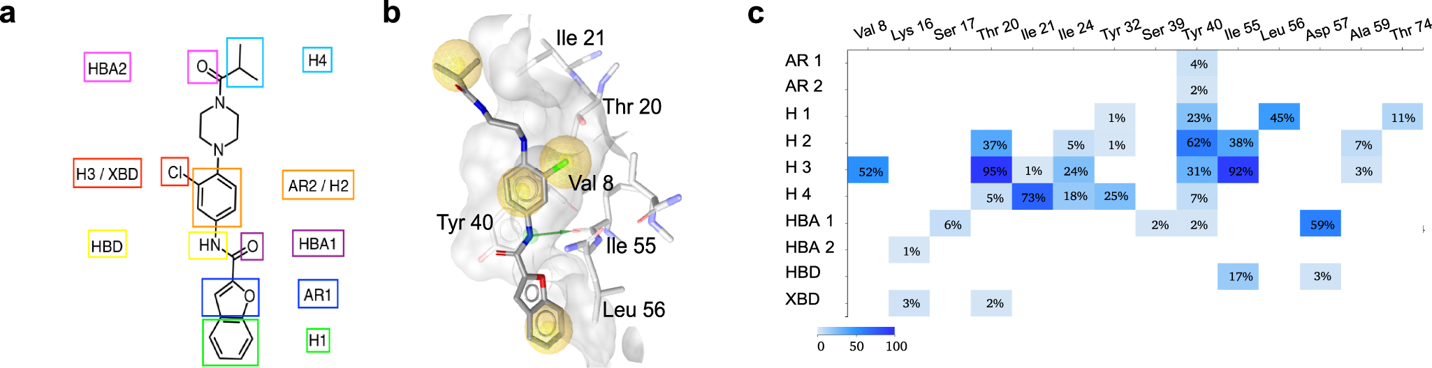 Fig. 7: In silico assessment of Rasarfin interactions with Ras.