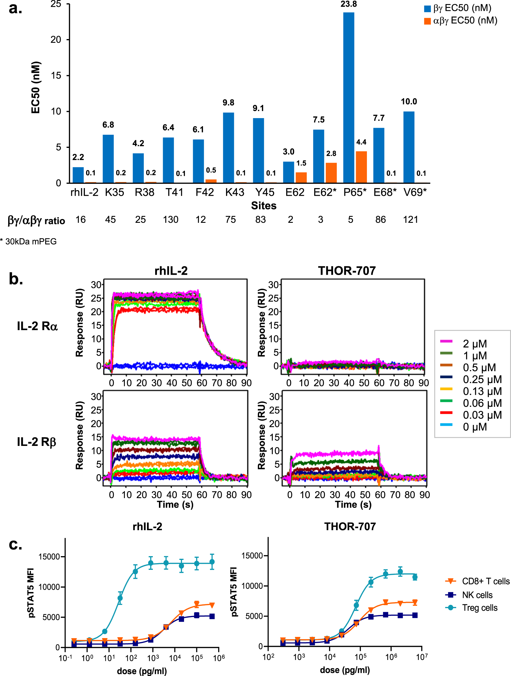 Fig. 3: Identification and in vitro characterization of THOR-707, a pegylated IL-2 with “not alpha” pharmacology.