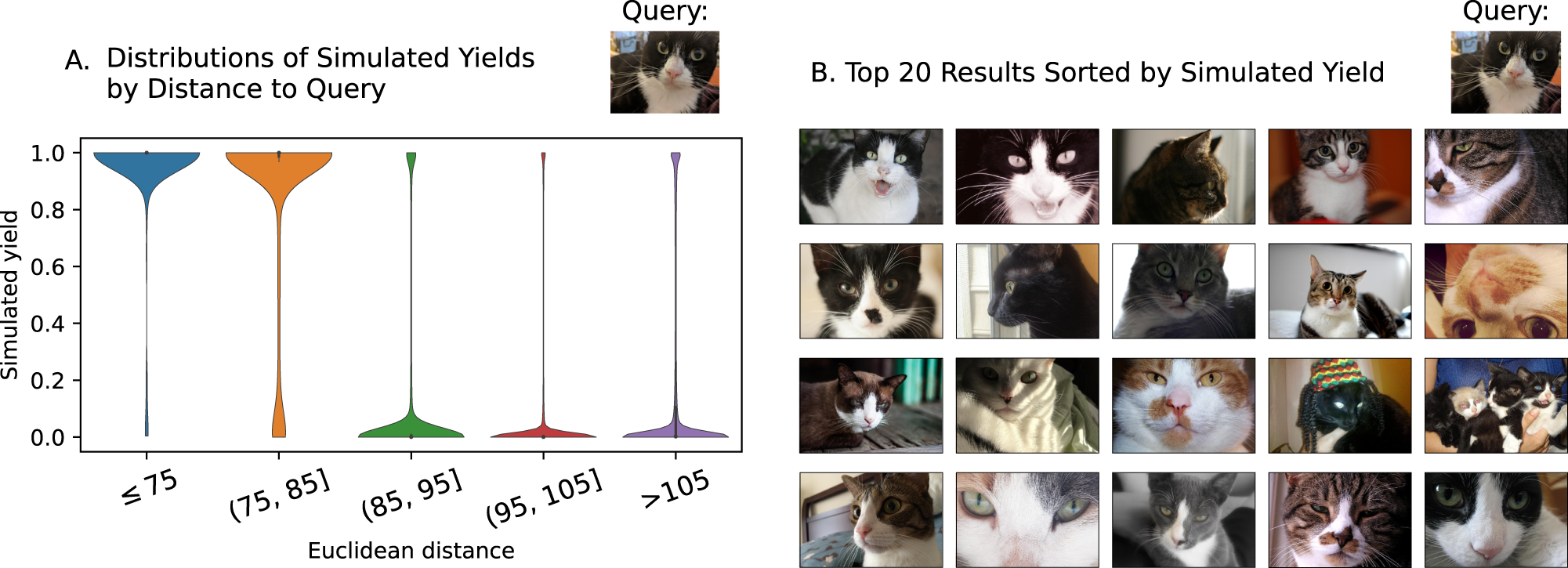 Fig. 5: Results of a NUPACK simulation of using a query image of a cat with a larger database consisting of 5.5 million images.