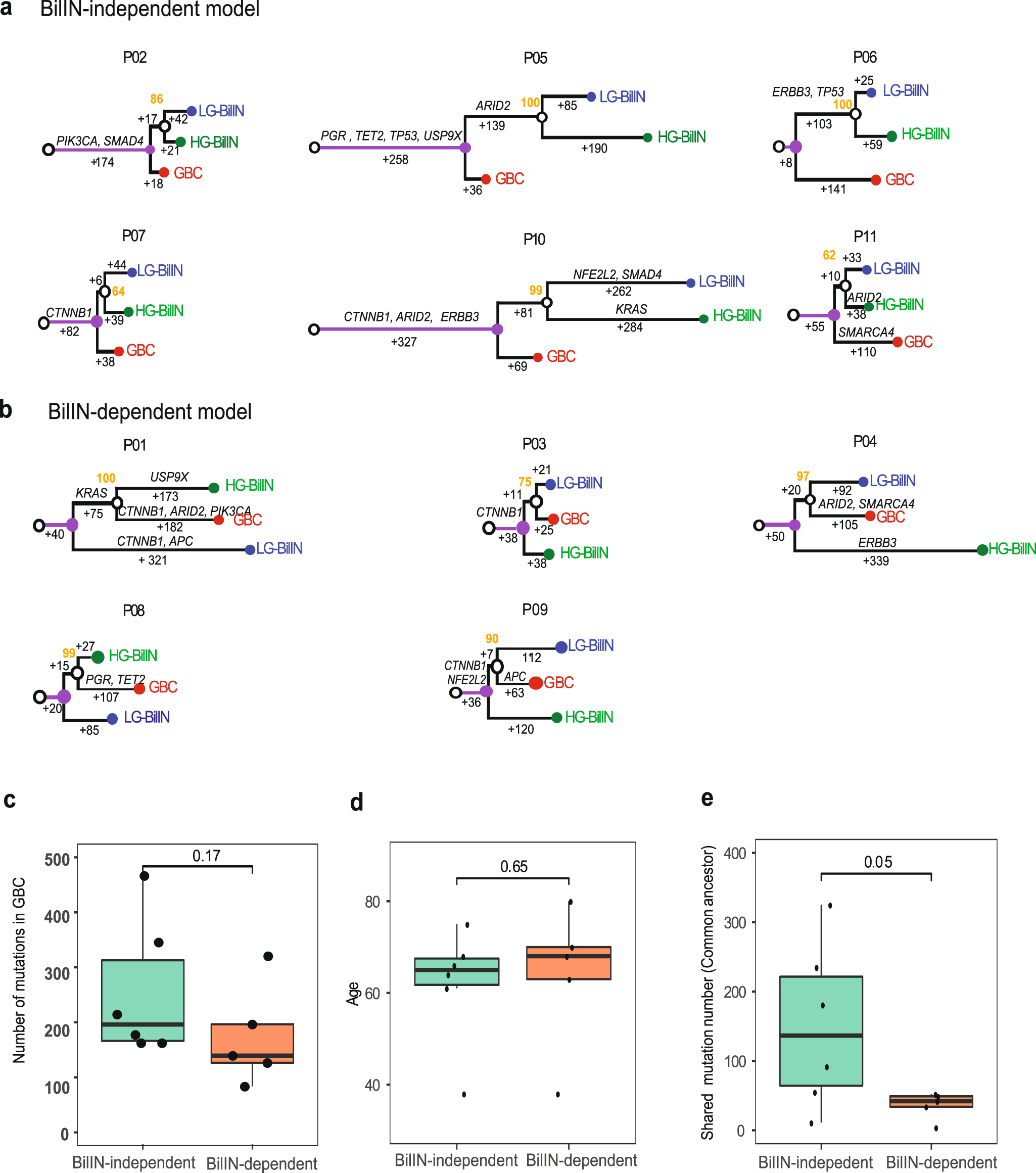 Fig. 3: Phylogenetic trees of gallbladder tumors.