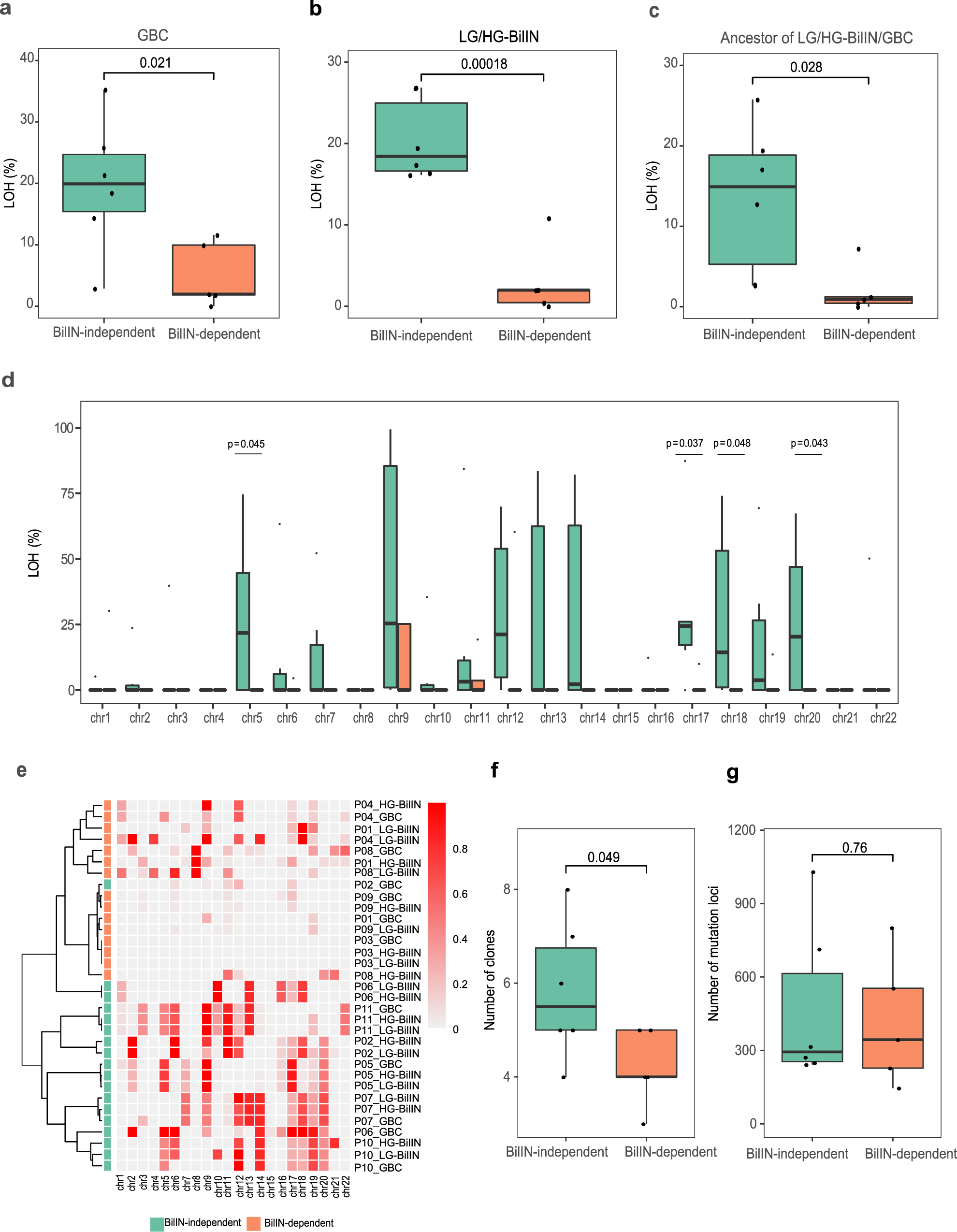 Fig. 4: Comparison of the LOH and clonal evolution of tumors in the BilIN-independent and BilIN-dependent groups.