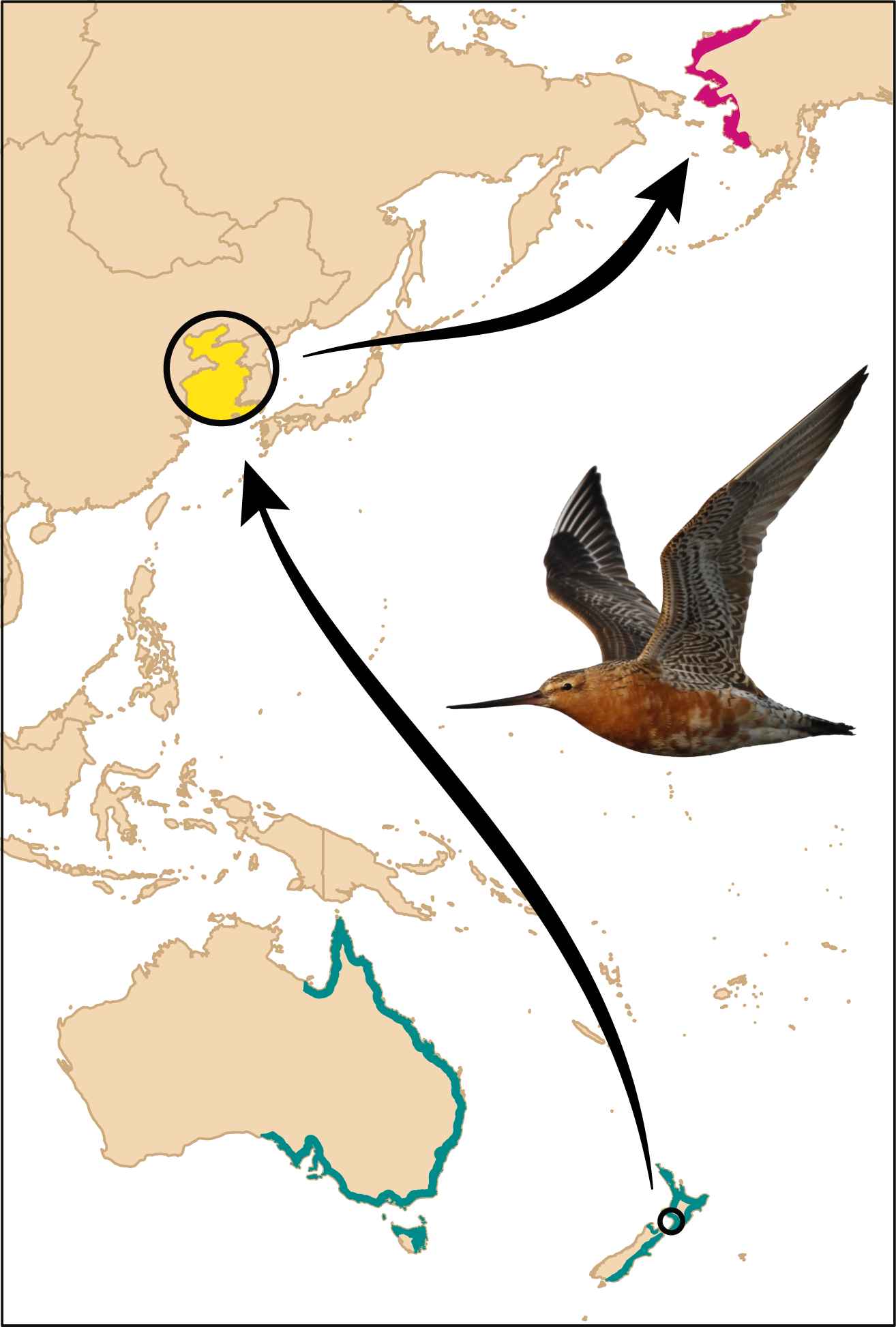 Advancement in long-distance bird migration through individual plasticity in departure | Nature Communications Advancement in long-distance bird migration through individual plasticity in departure | Nature Communications