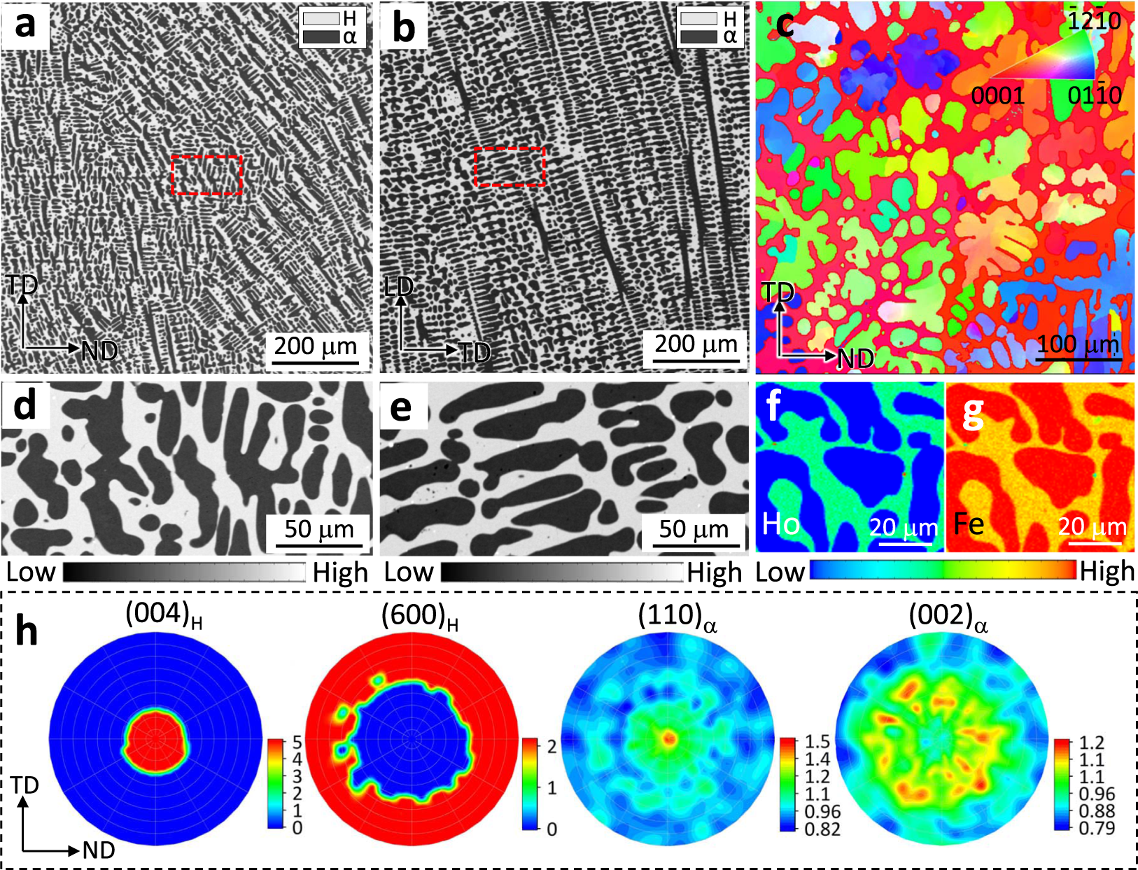 Fig. 2: Microstructures of the ZTE alloy.