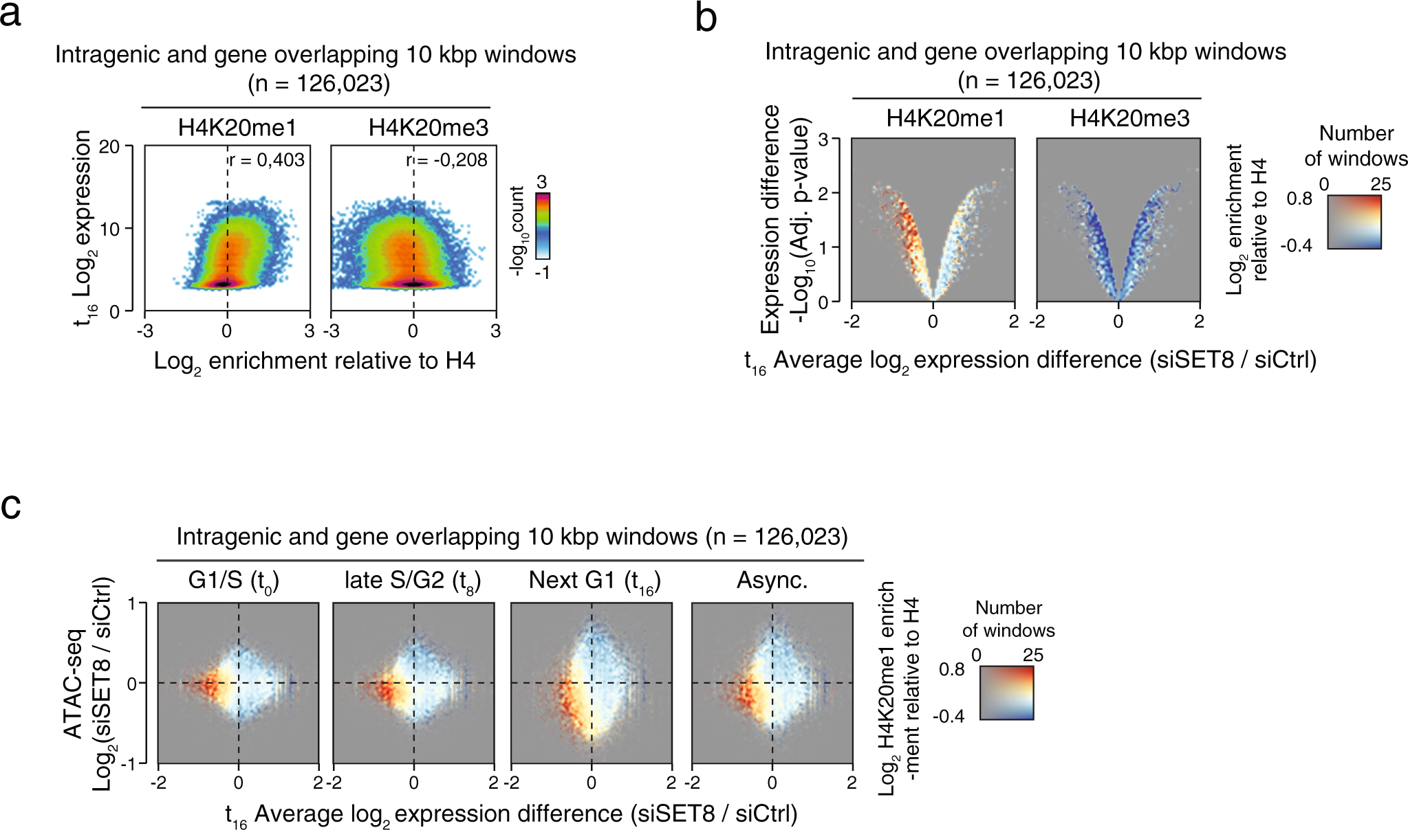 Fig. 3: The SET8-H4K20me1 pathway driven chromatin accessibility promotes transcription.