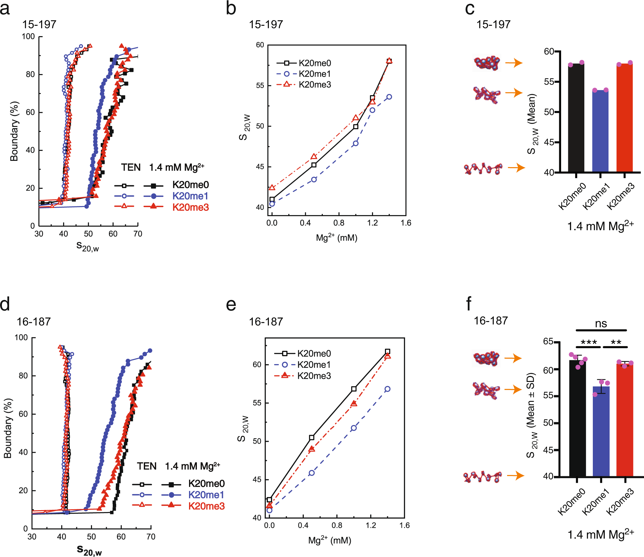 Fig. 5: Histone H4 lysine 20 mono-methylation results in unfolding of 15-197-601 and 16-187-601 nucleosome arrays.