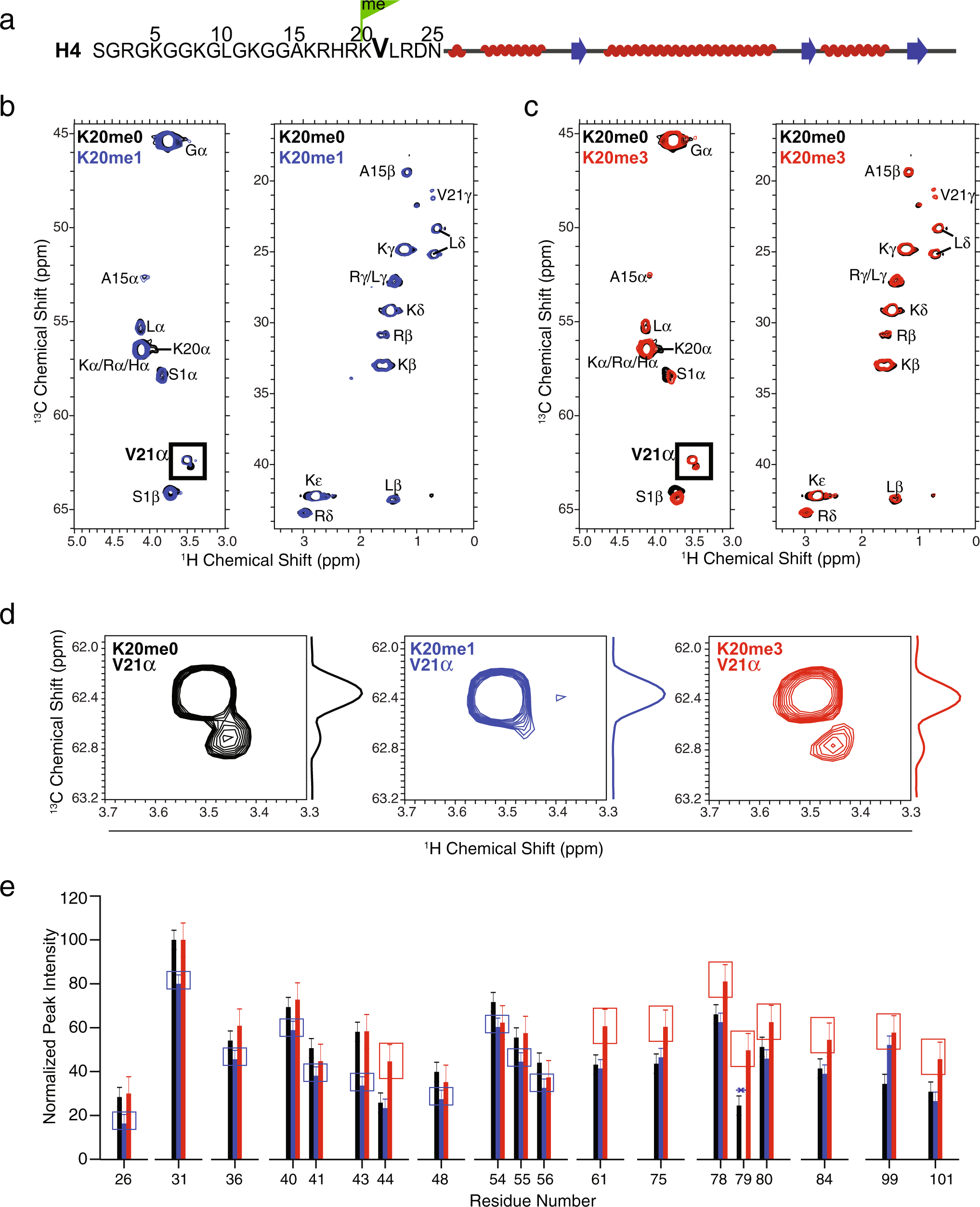 Fig. 6: Solid-state NMR reveals change in conformational dynamics of the histone H4 tail upon lysine 20 mono-methylation.