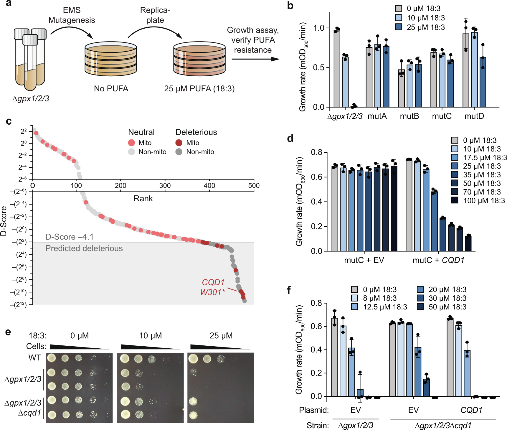 Fig. 2: Genome-wide screen for CoQ trafficking genes identifies uncharacterized UbiB protein Cqd1.