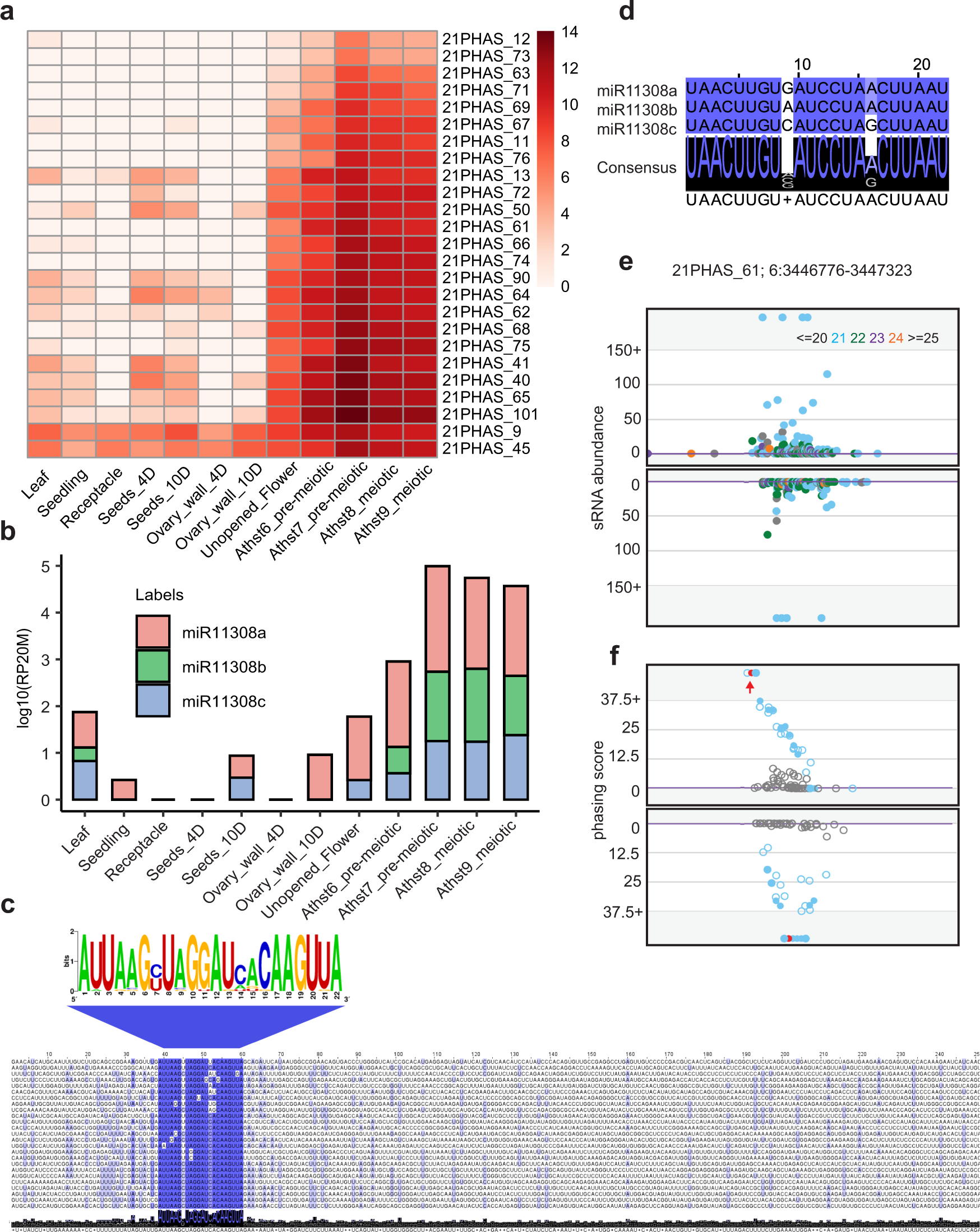 Pre Meiotic 21 Nucleotide Reproductive Phasirnas Emerged In Seed Plants And Diversified In Flowering Plants Nature Communications