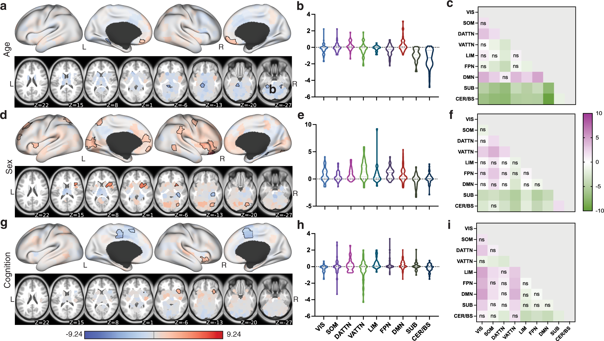 Fig. 4: Associations between regional SC–FC coupling and age, sex, and total cognition.