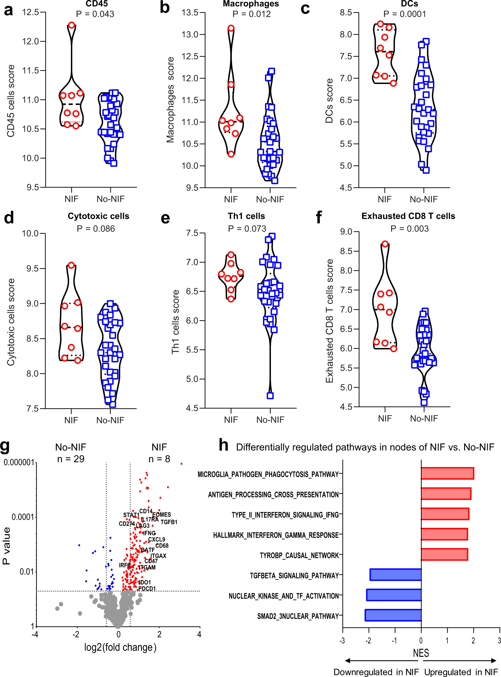Fig. 4: Composition of nodal immune infiltrates of NIF/non-caseating granulomas and No-NIF NEOSTAR patients.