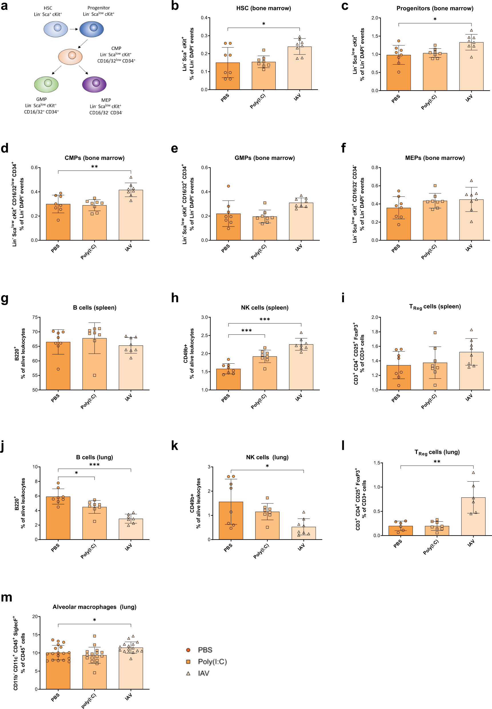 Fig. 4: Altered hematopoiesis of offspring from influenza infected dams.