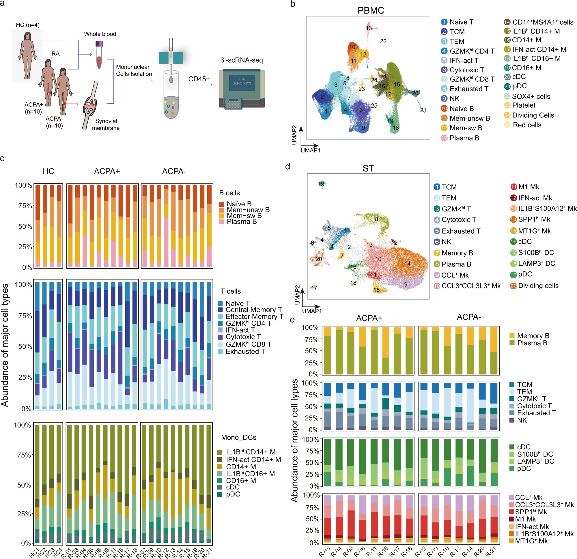 Single-cell sequencing of immune cells from anticitrullinated peptide  antibody positive and negative rheumatoid arthritis | Nature Communications