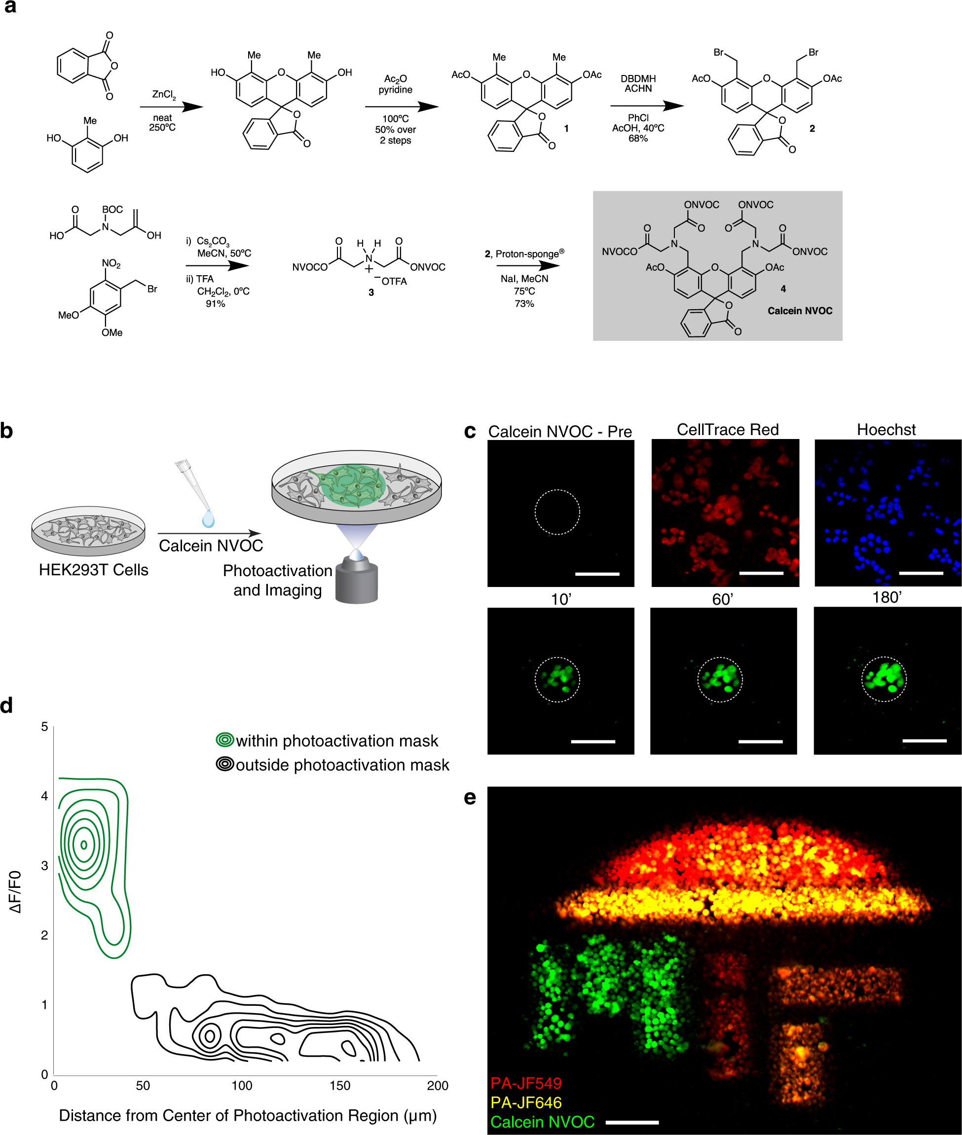 Live cell tagging tracking and isolation for spatial transcriptomics using photoactivatable cell dyes Nature Communications