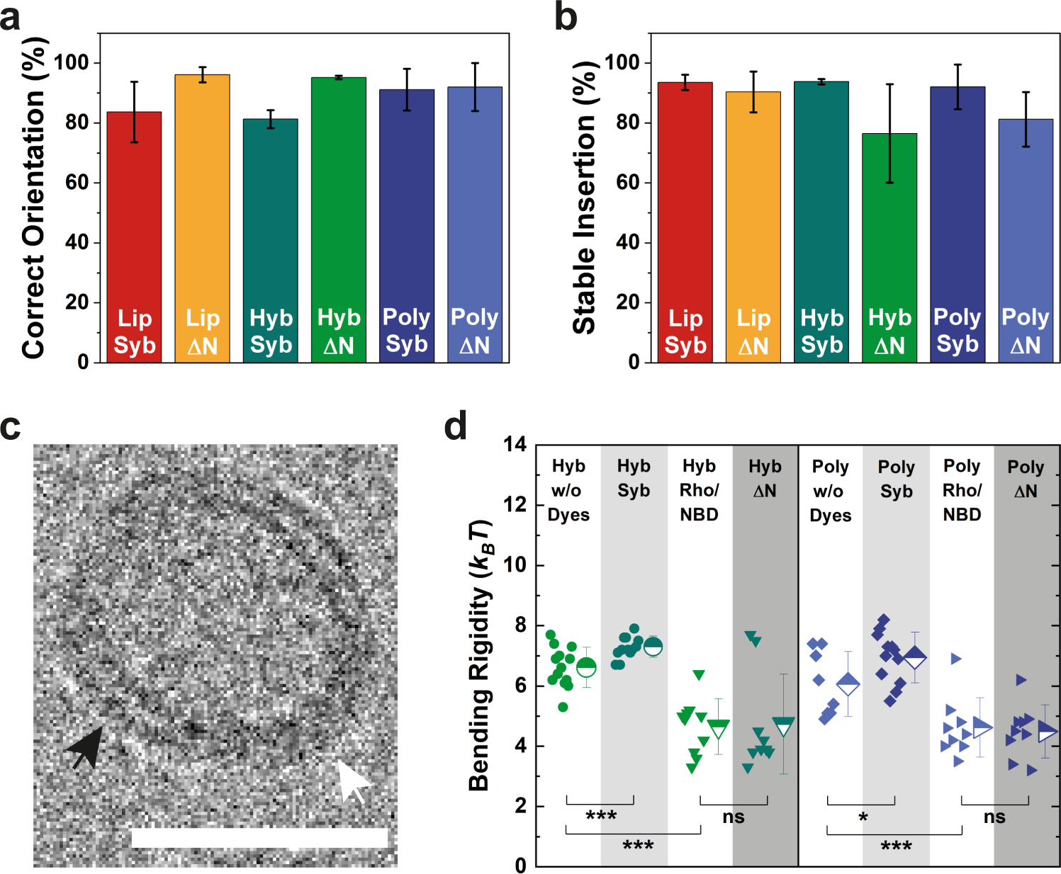 En Route To Dynamic Life Processes By Snare Mediated Fusion Of Polymer And Hybrid Membranes Nature Communications