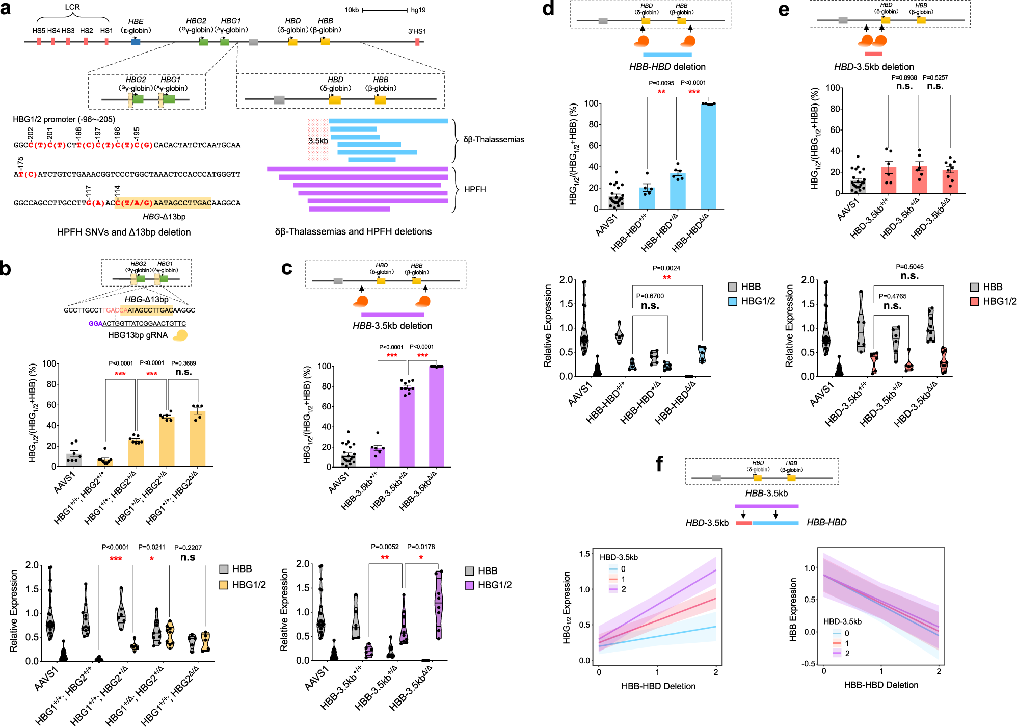 A unified model of human hemoglobin switching through single-cell genome  editing | Nature Communications
