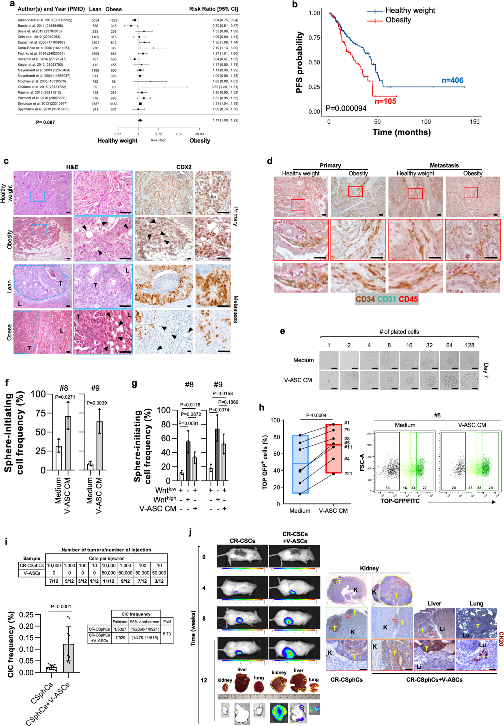 Adipose stem cell niche reprograms the colorectal cancer stem cell  metastatic machinery | Nature Communications