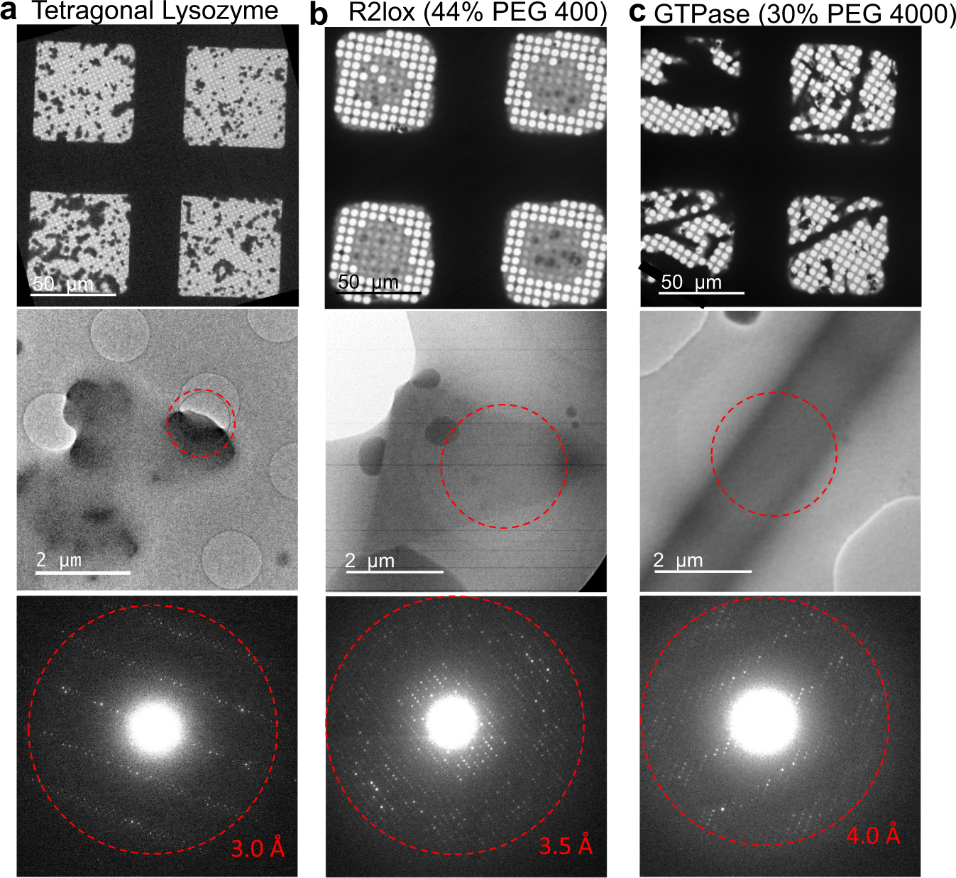 Fig. 5: Examples of specimens prepared successfully by Preassis from non-viscous to viscous buffer conditions.