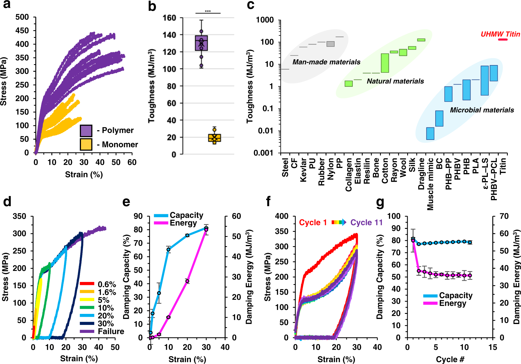 Fig. 3: Mechanical testing of fibers spun from microbially produced UHMW titin reveals high toughness, damping capacity, and mechanical recovery reminiscent of natural muscle fibers.