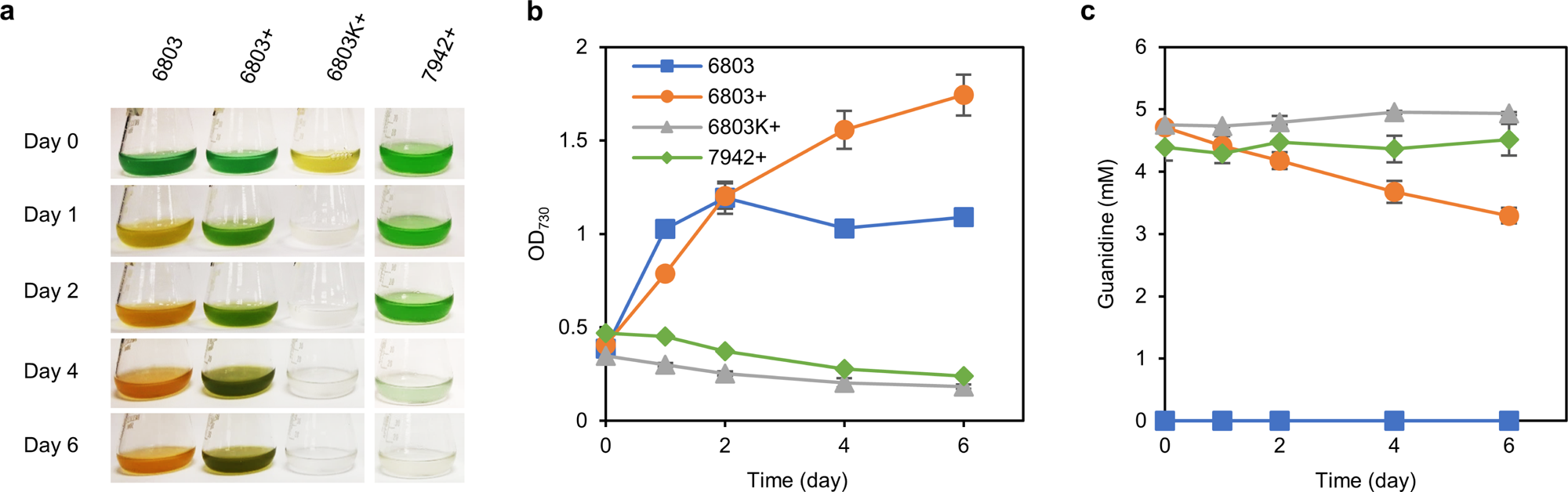 A Guanidine Degrading Enzyme Controls Genomic Stability Of Ethylene Producing Cyanobacteria Nature Communications A Guanidine Degrading Enzyme Controls Genomic Stability Of Ethylene Producing Cyanobacteria Nature Communications