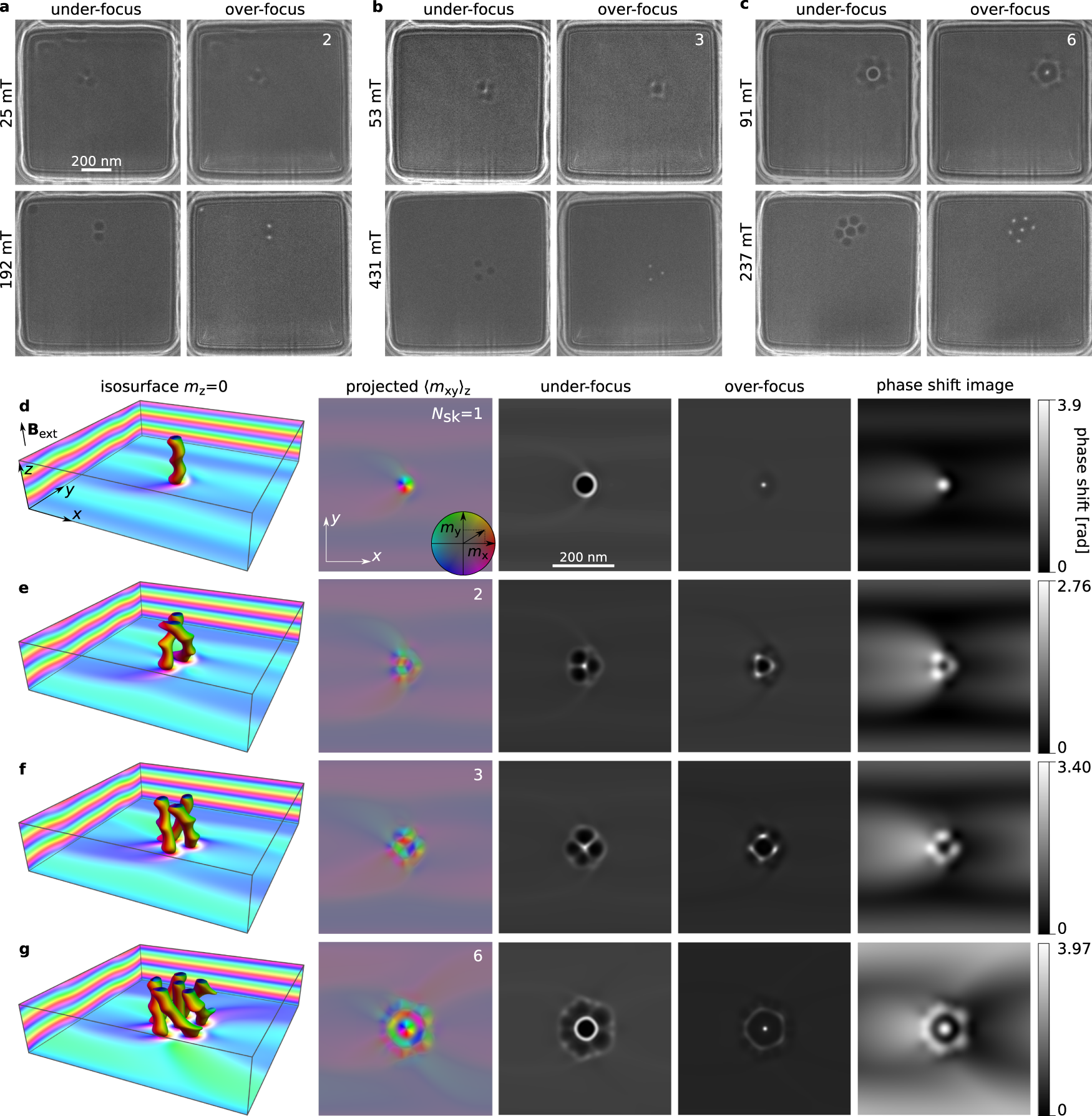 Fig. 3: Skyrmion braids in an extended FeGe plate of thickness 180 nm.