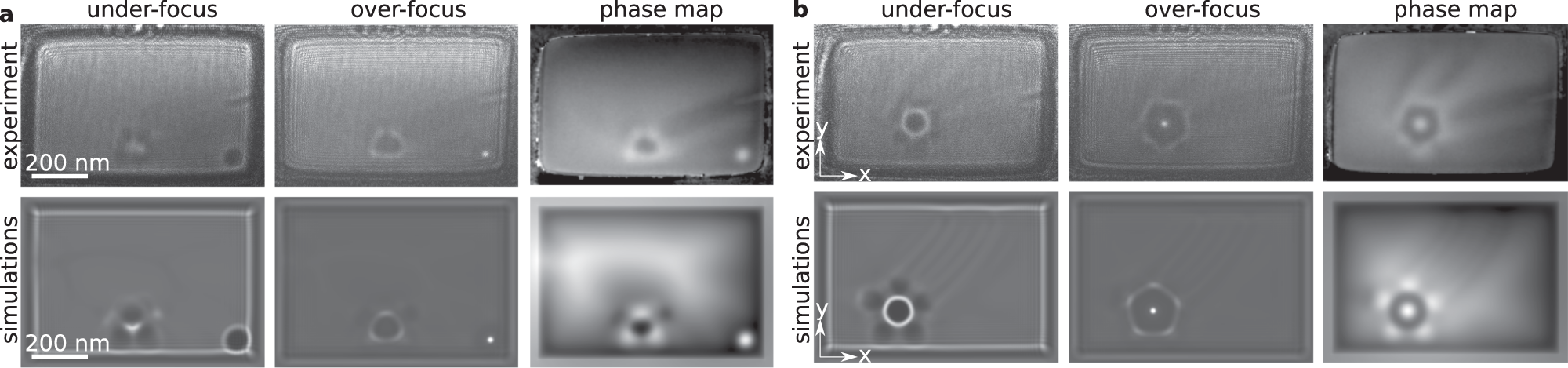Fig. 4: Comparison between experimental and simulated images of skyrmion braids.