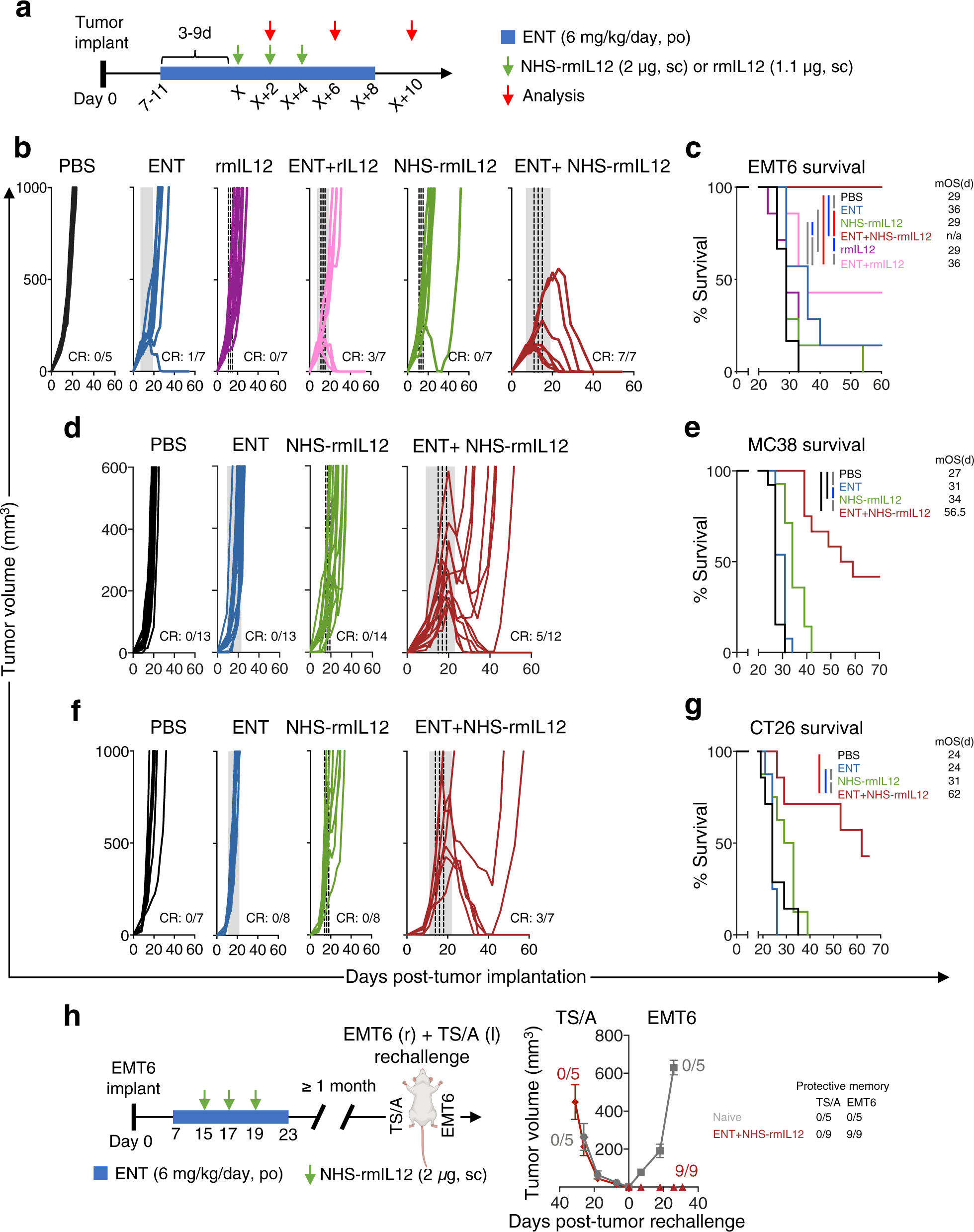 Tumour Targeted Interleukin 12 And Entinostat Combination Therapy Improves Cancer Survival By Reprogramming The Tumour Immune Cell Landscape Nature Communications