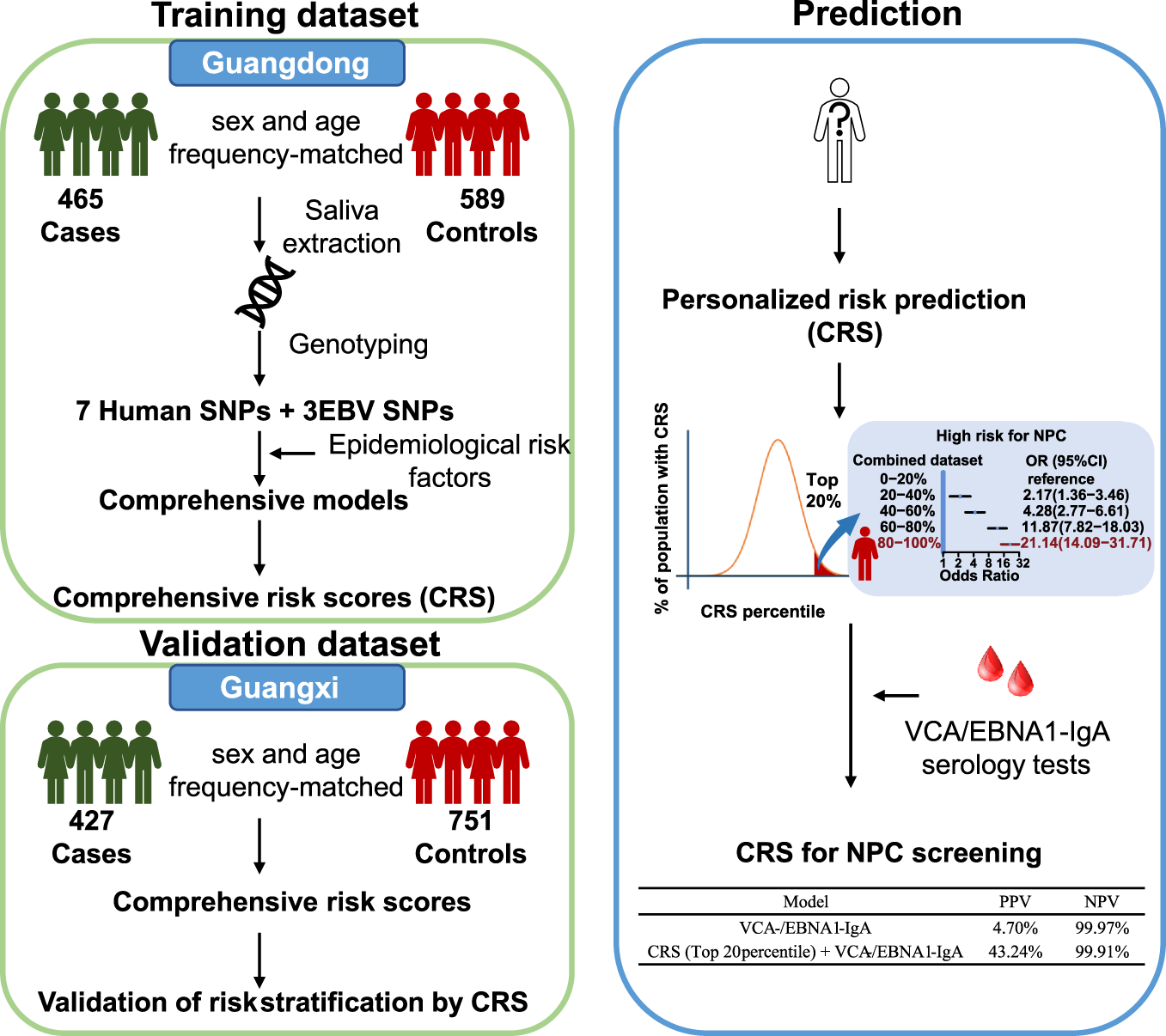 A Comprehensive Risk Score For Effective Risk Stratification And Screening Of Nasopharyngeal Carcinoma Nature Communications