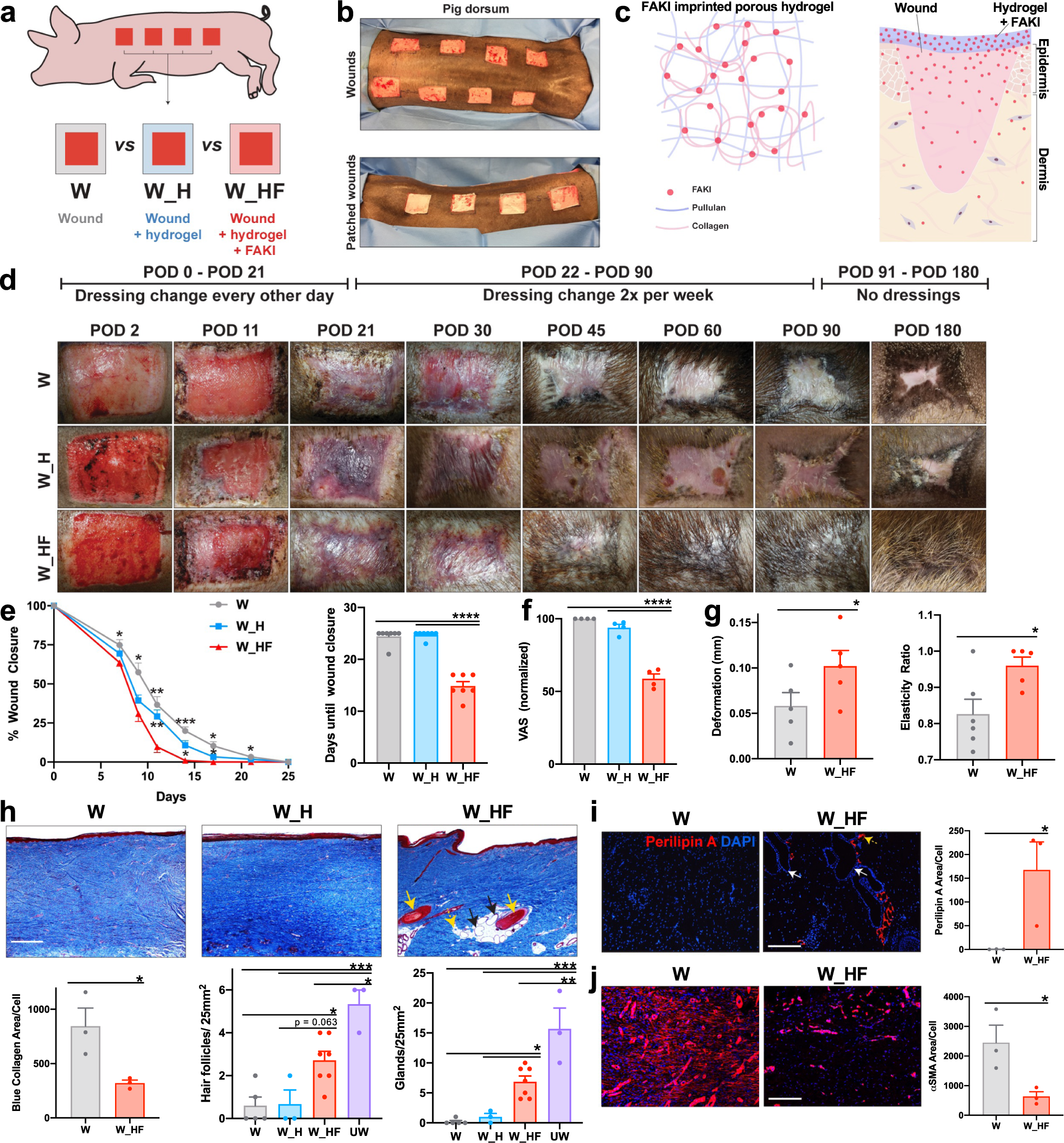 New Human Protein-Based Surgical Glue Seals Wounds in 60 Seconds, Medicine