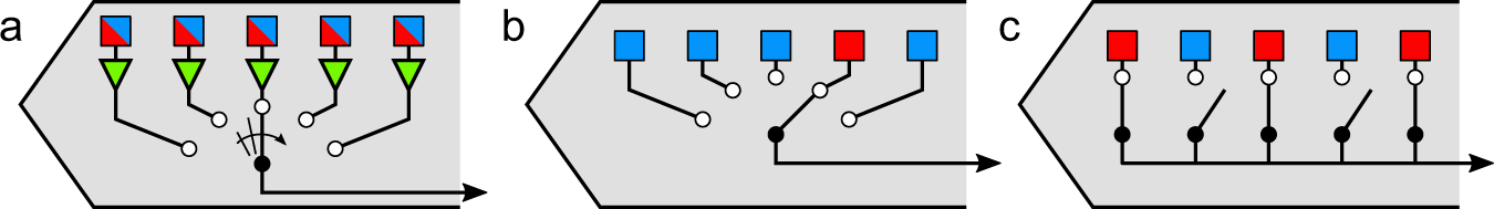 Fig. 1: Strategies for using a single wire to serve many recording sites in switchable silicon probes.
