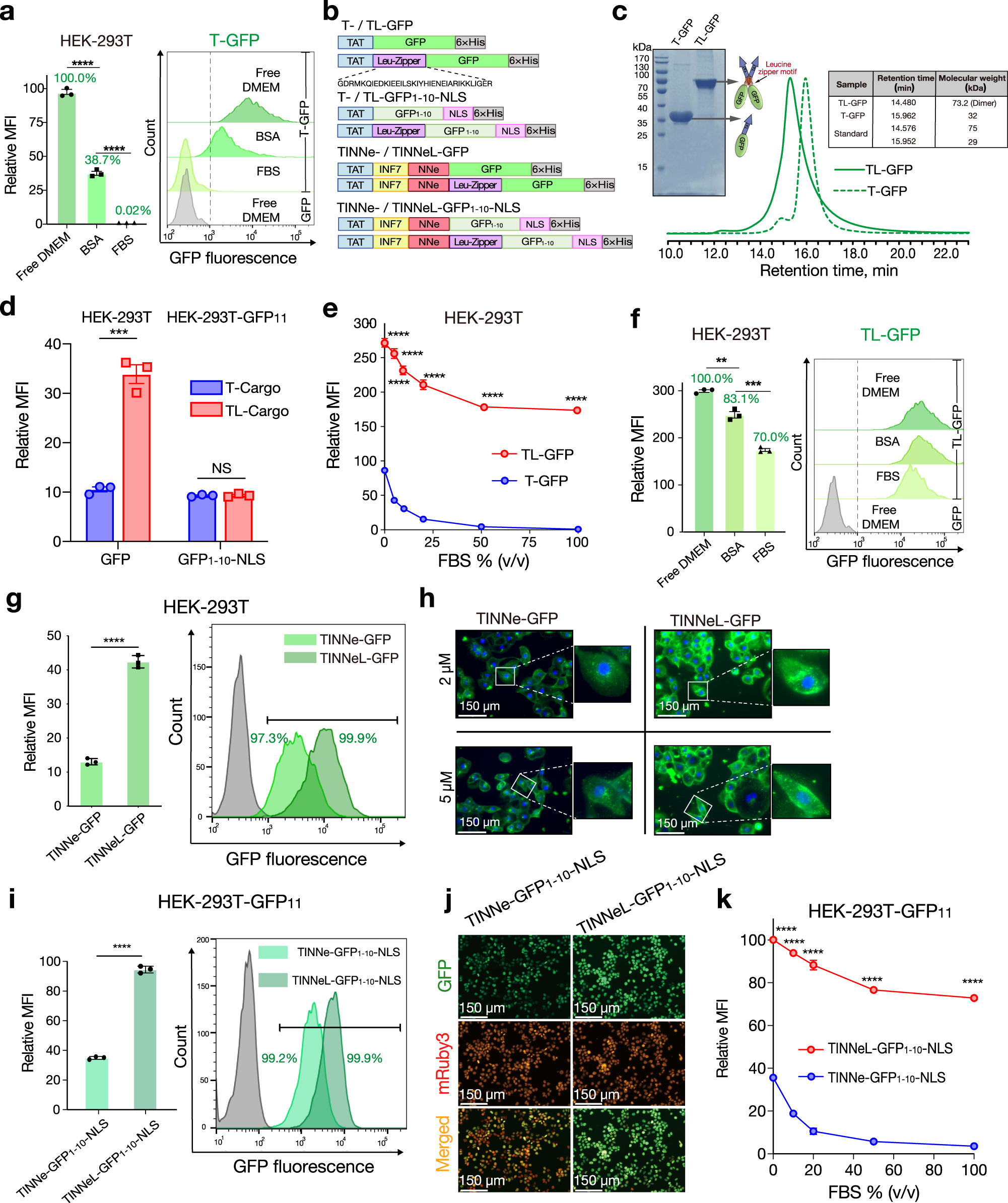 Fig. 2: Dimerisation of CPP-fused proteins enhances endocytosis and serum tolerance.