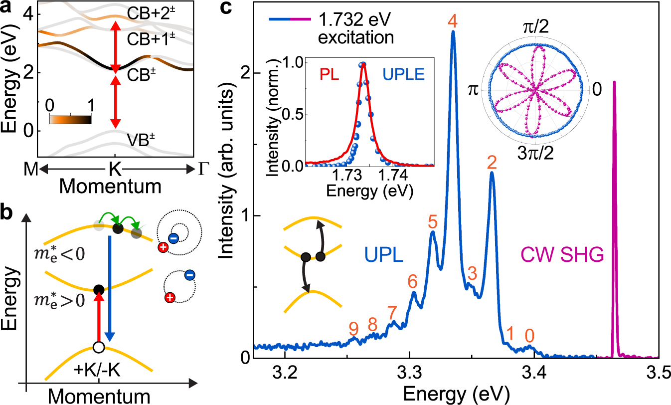 Fig. 1: Formation of high-lying excitons (HX) in monolayer WSe2, with an electron in an upper conduction band and a hole in the top-most valence band.