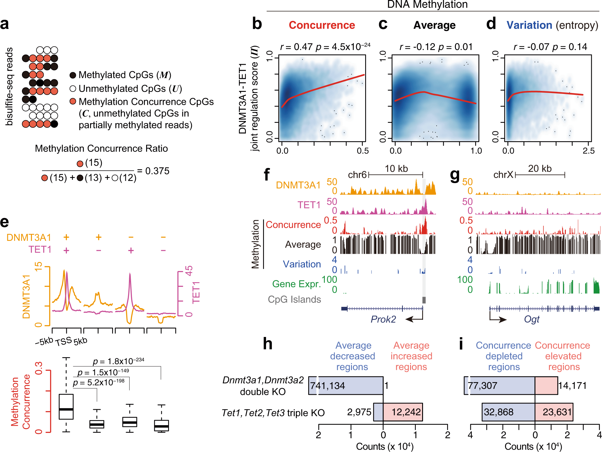 The concurrence of DNA methylation and demethylation is associated with  transcription regulation | Nature Communications