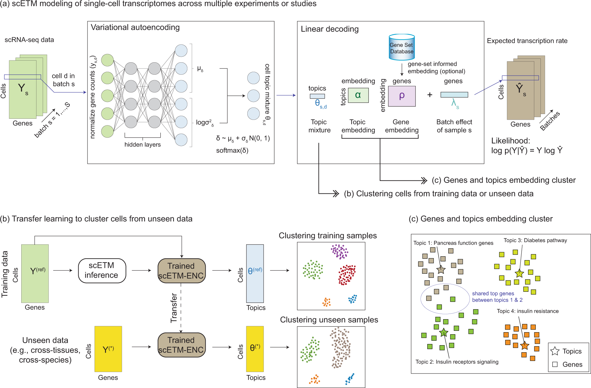 Transcriptomic signatures across human tissues identify functional rare  genetic variation