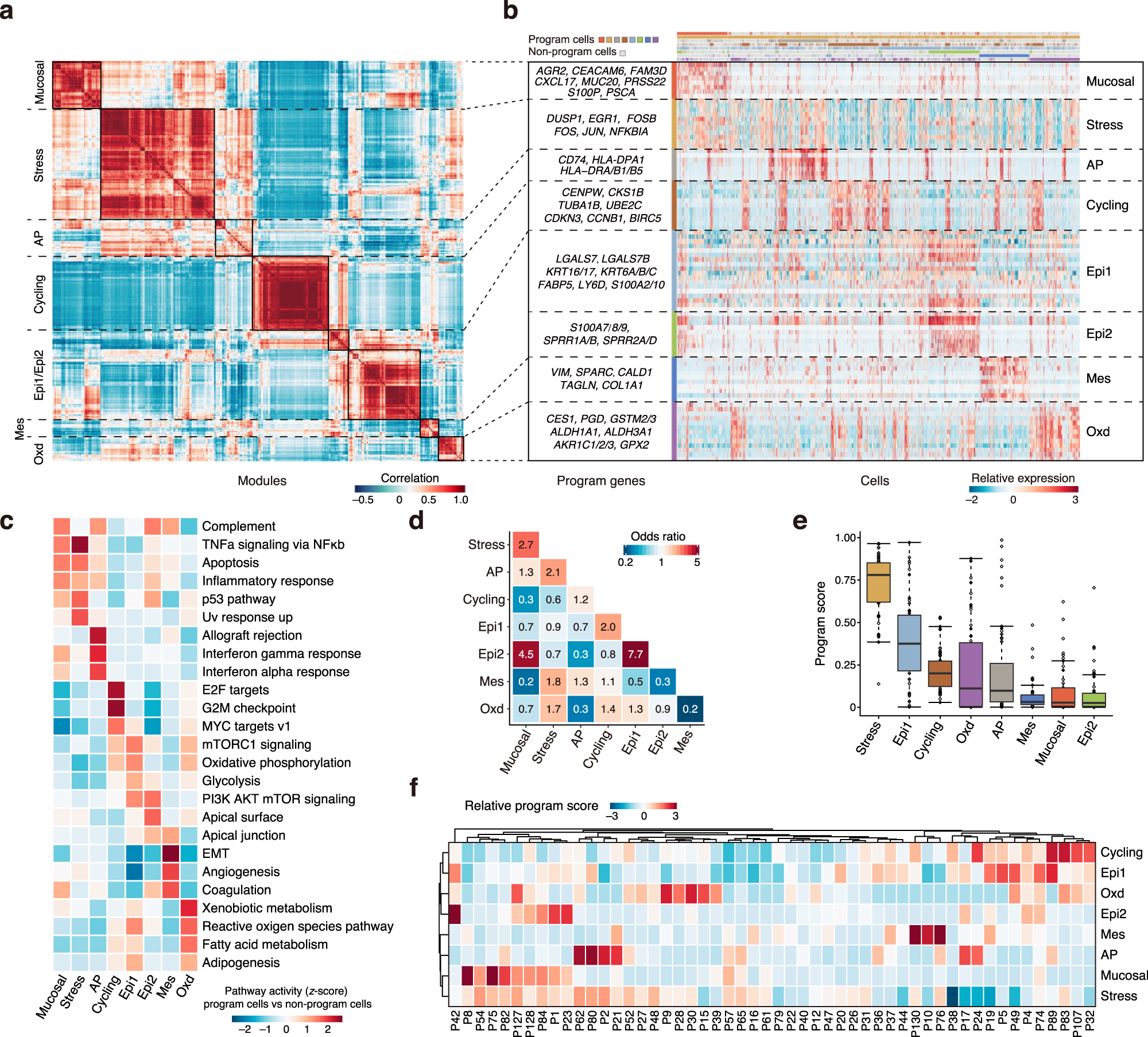 Fig. 3: Identification of eight common expression programs of epithelial cells in ESCC tumors.