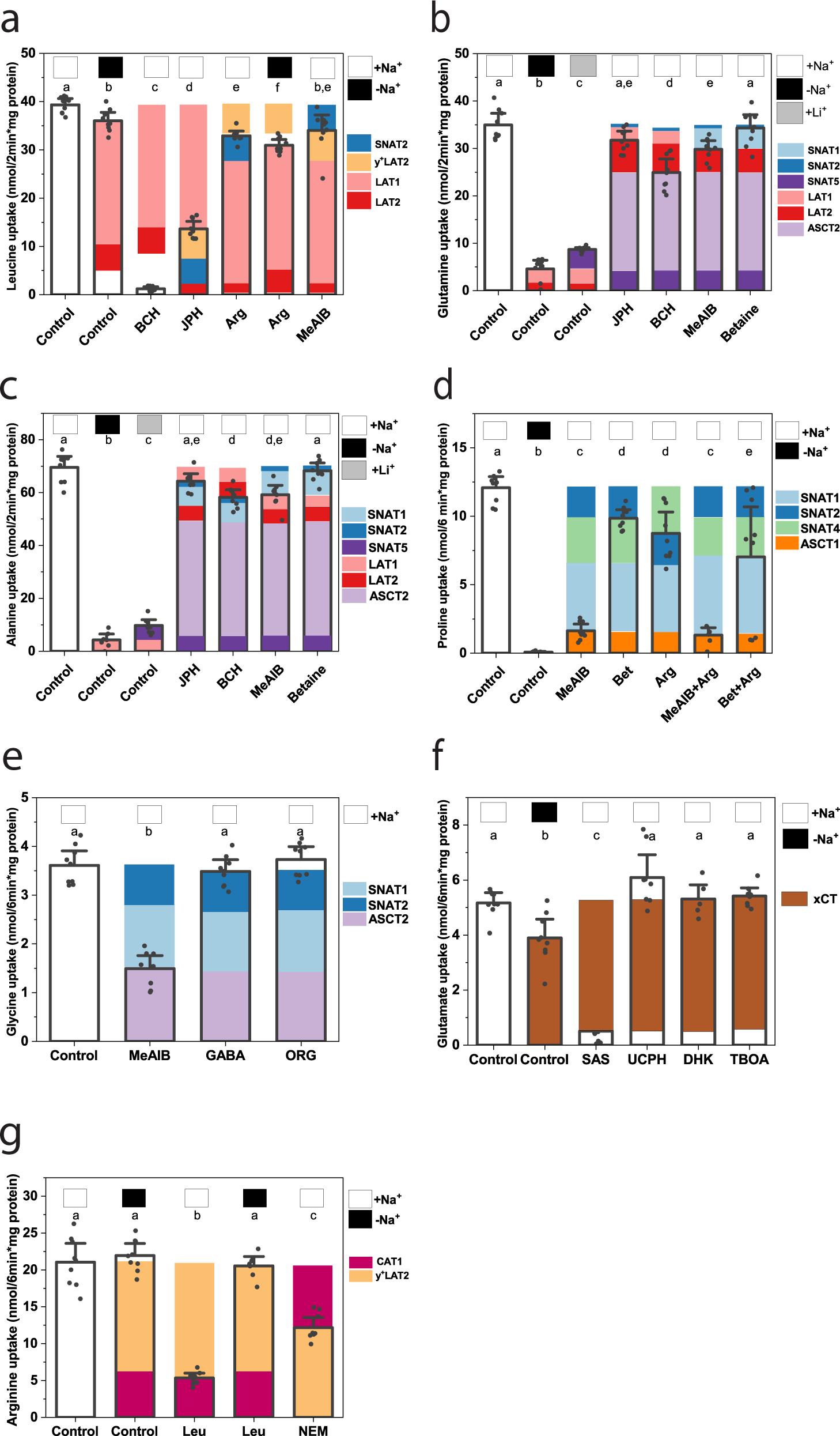 Fig. 3: Discrimination of amino acid transport activities in A549 lung carcinoma cells.