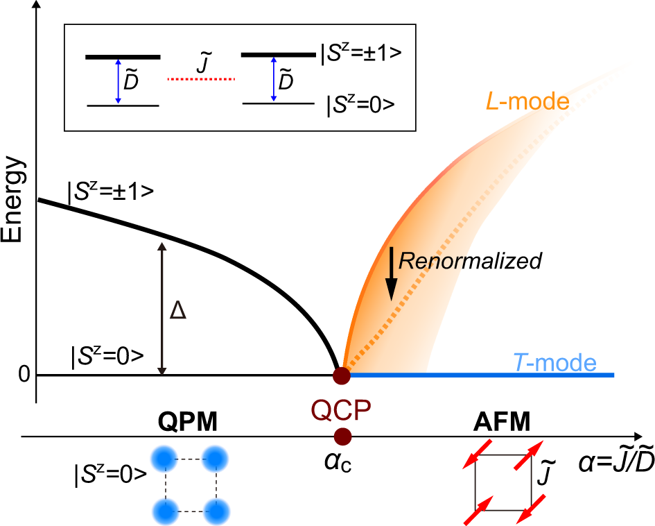 Fig. 1: Schematic diagrams near the quantum critical point.