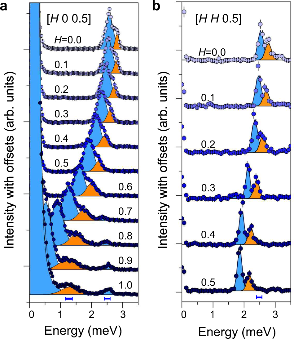 Fig. 4: Detailed line-cuts of INS spectra.