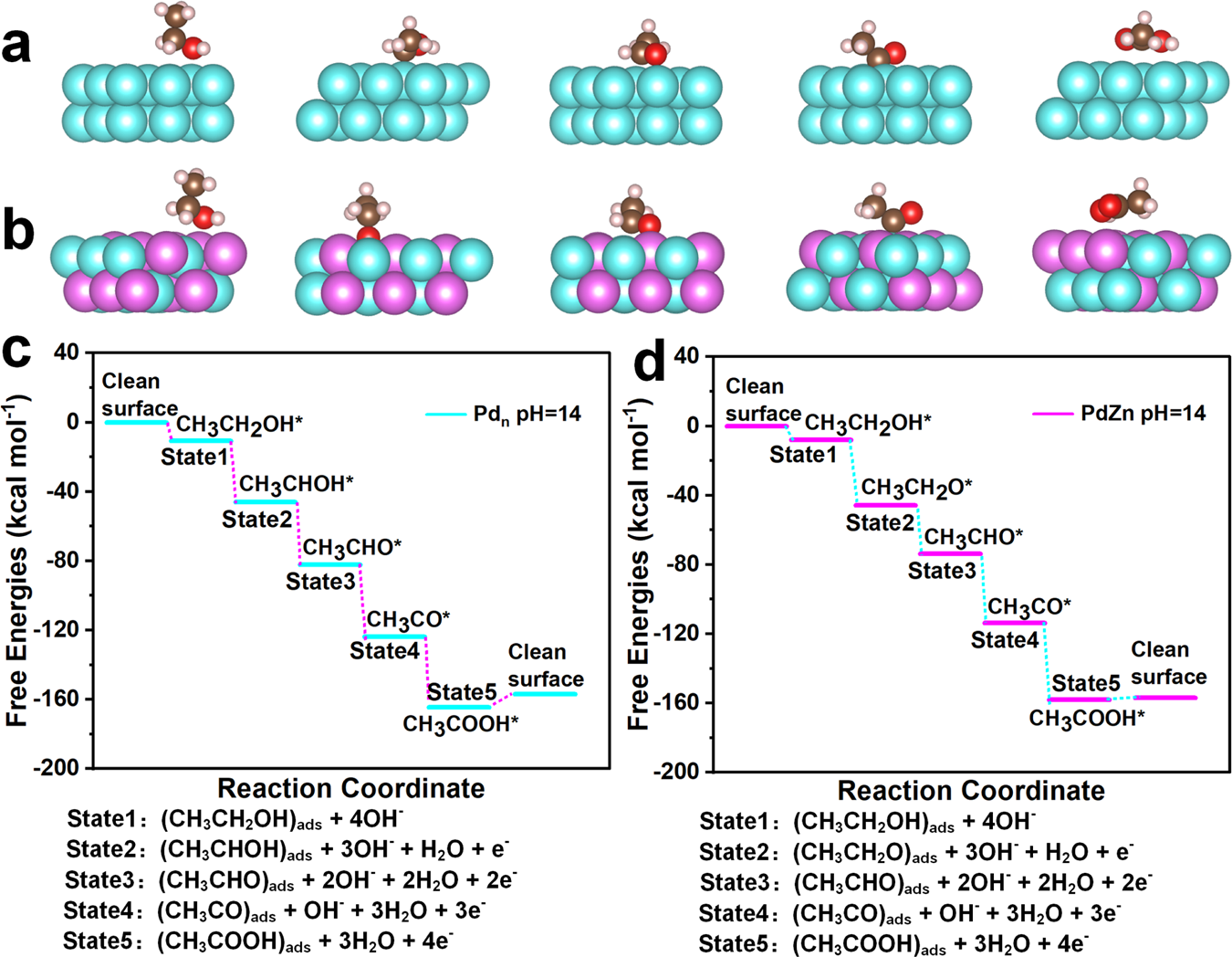 Fig. 4: DFT calculated reaction procedure of EOR on Pd–Pd sites and Pd–Zn dual sites.