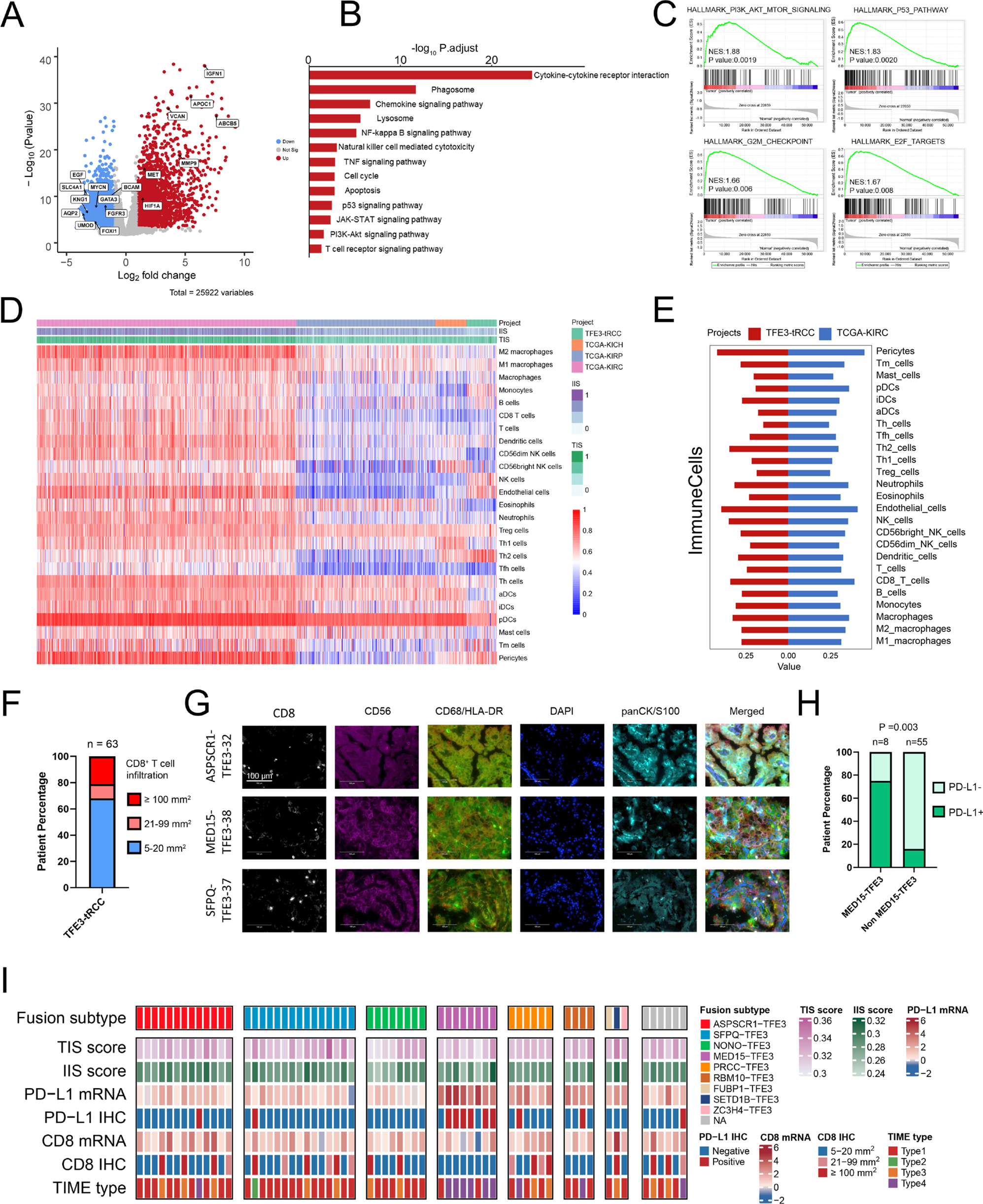 Fig. 4: Transcriptional features and immunogenic phenotype in TFE3-tRCC.