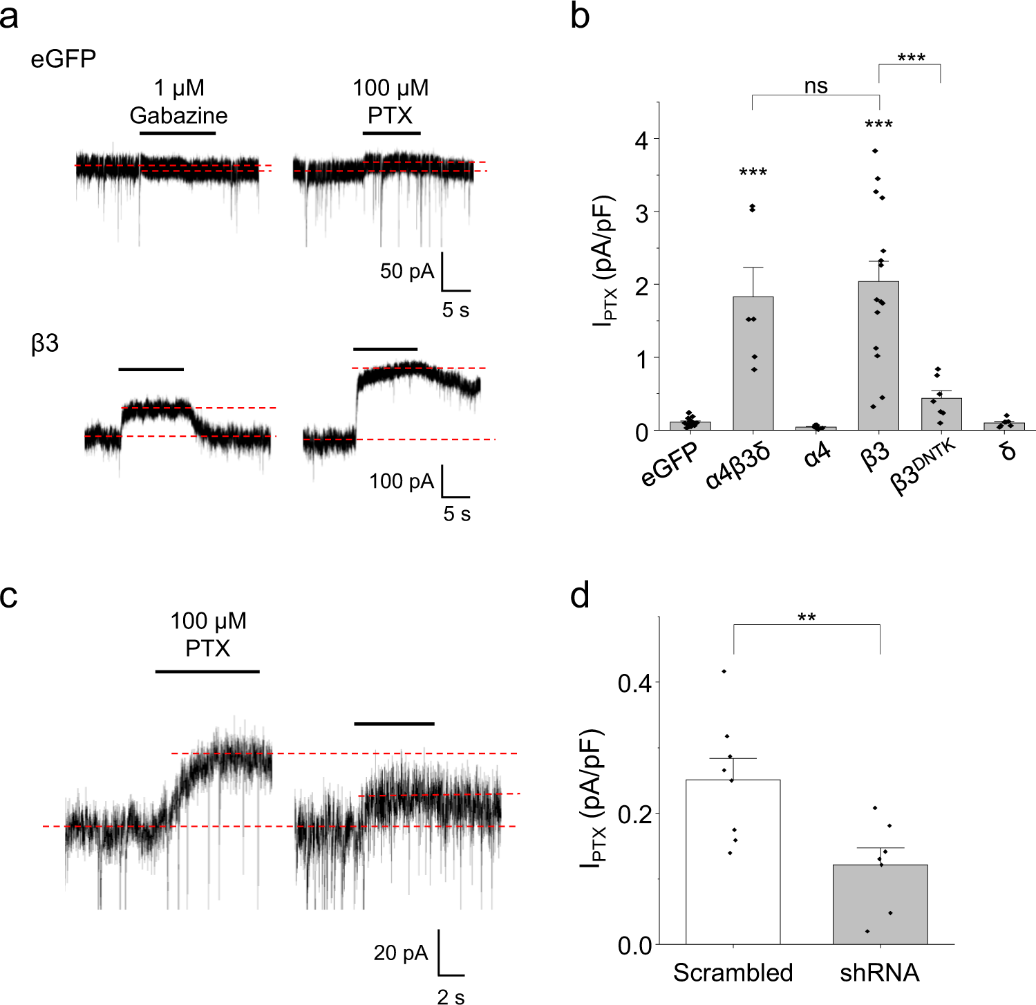 Fig. 8: β3 subunit controls spontaneous currents in hippocampal neurons.