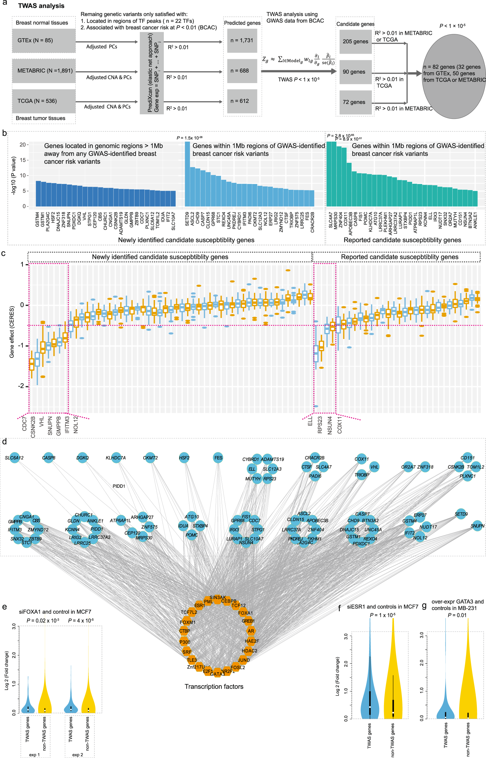 Fig. 5: TWAS analysis using an improved model building and core TF-transcriptional network regulating the identified susceptibility genes formed by FOXA1 and co-factors.