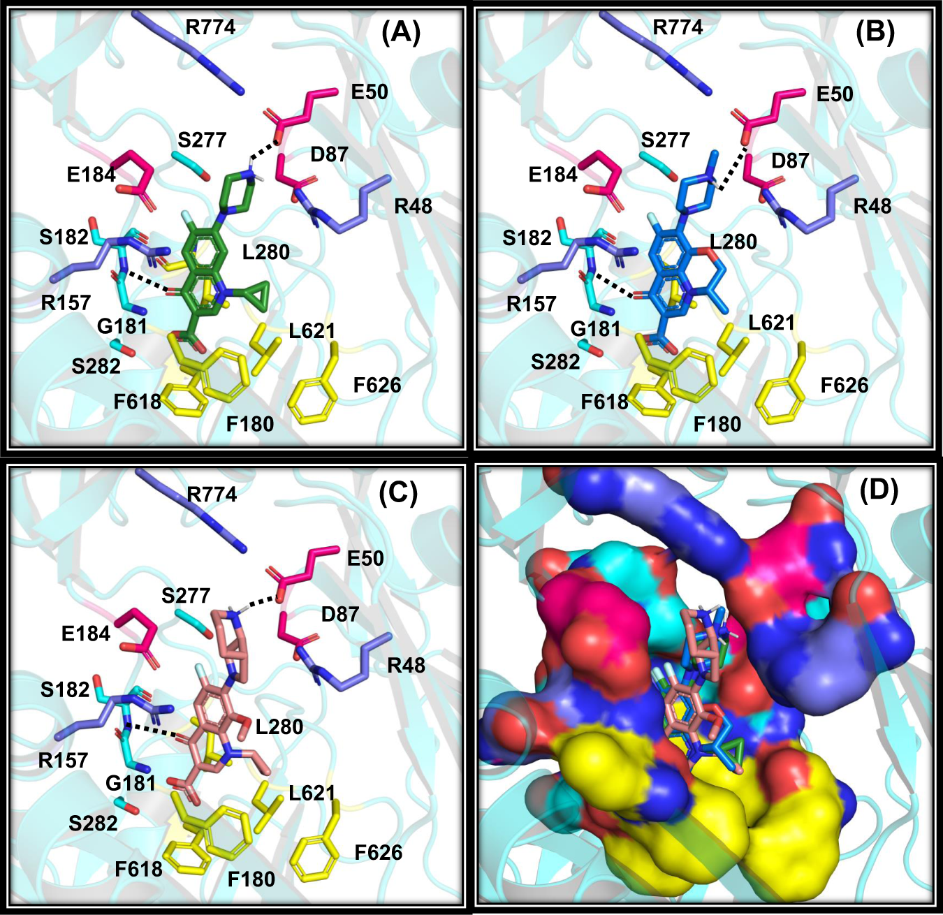 Fig. 5: Predicted binding modes of fluoroquinolones with OqxB.