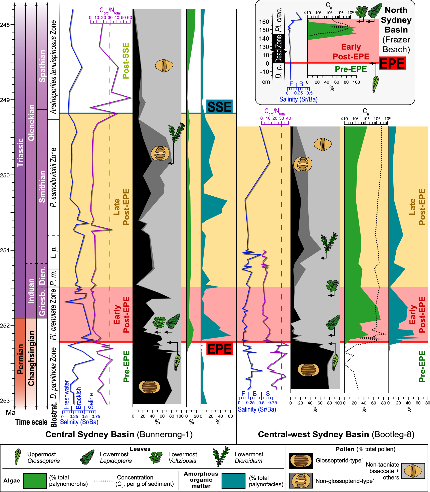 Fig. 2: Microfossil and geochemical trends from the upper Permian to Lower Triassic of the Sydney Basin, Australia.